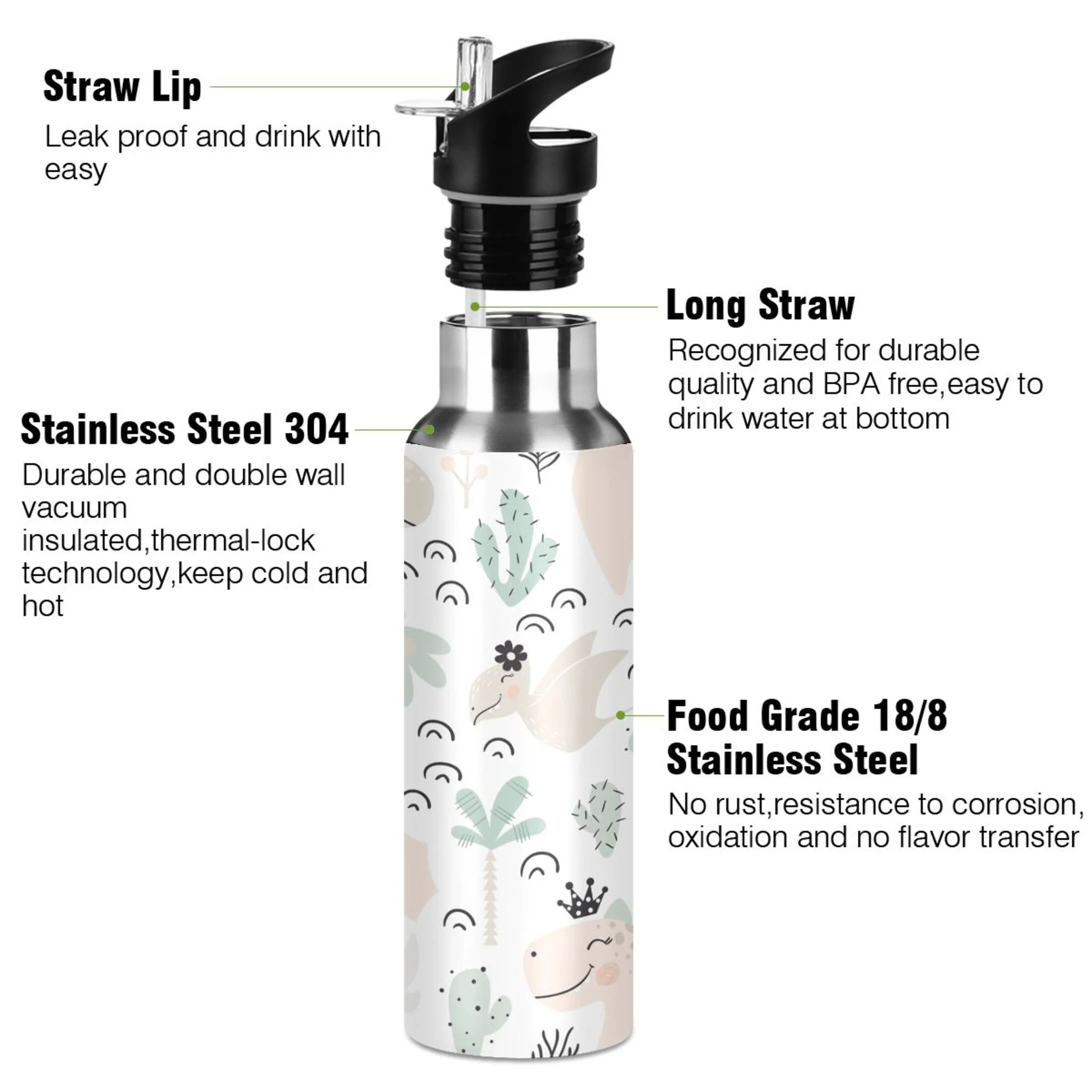 Stainless Steel Water Bottle Dinosaur Baby with Straw Lid Vacuum Insulated Keeps Hot and Cold Leak Proof Flask Jug for Gym Travel Sports Cycling Outdoor 20 OZ