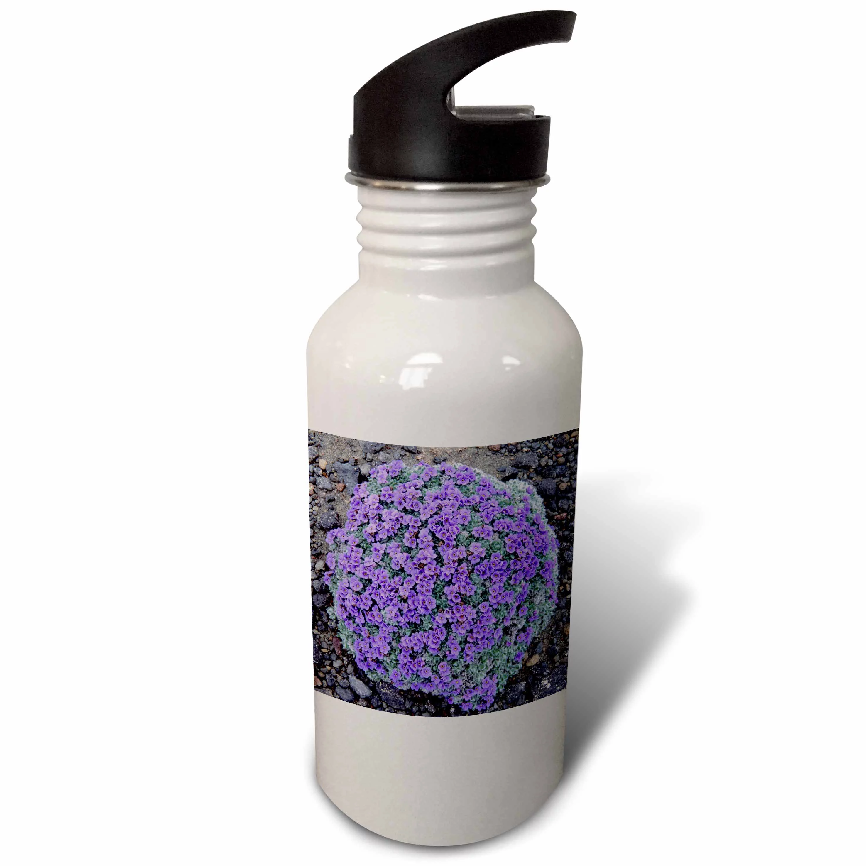 Alaska, Arctic Forget-Me-Not flowers - US02 KSC0027 - Kevin Schafer 21 oz Sports Water Bottle wb-87575-1
