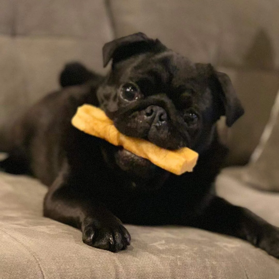 Doggo Dog Chew, Natural Himalayan Yak Cheese Long Lasting Chew, Small, 3 Pound (42 Pieces)