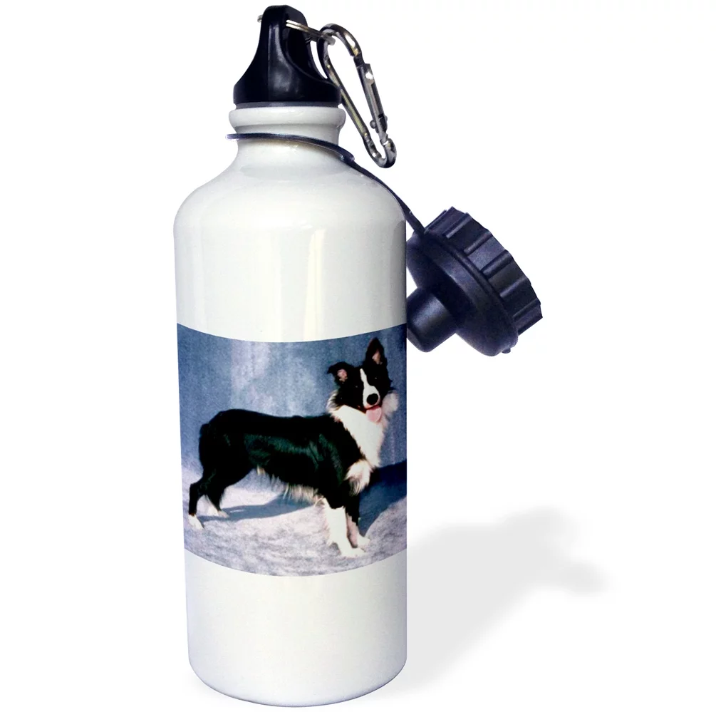 3dRose Border Collie, Sports Water Bottle, 21oz