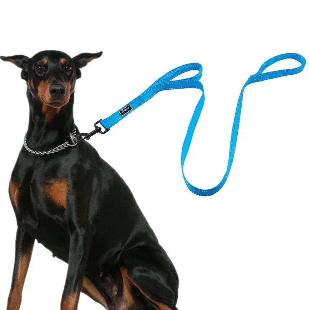 4ft Reflective Nylon Dog Leash with 2 Dual Handles Traffic Control Walking Leads