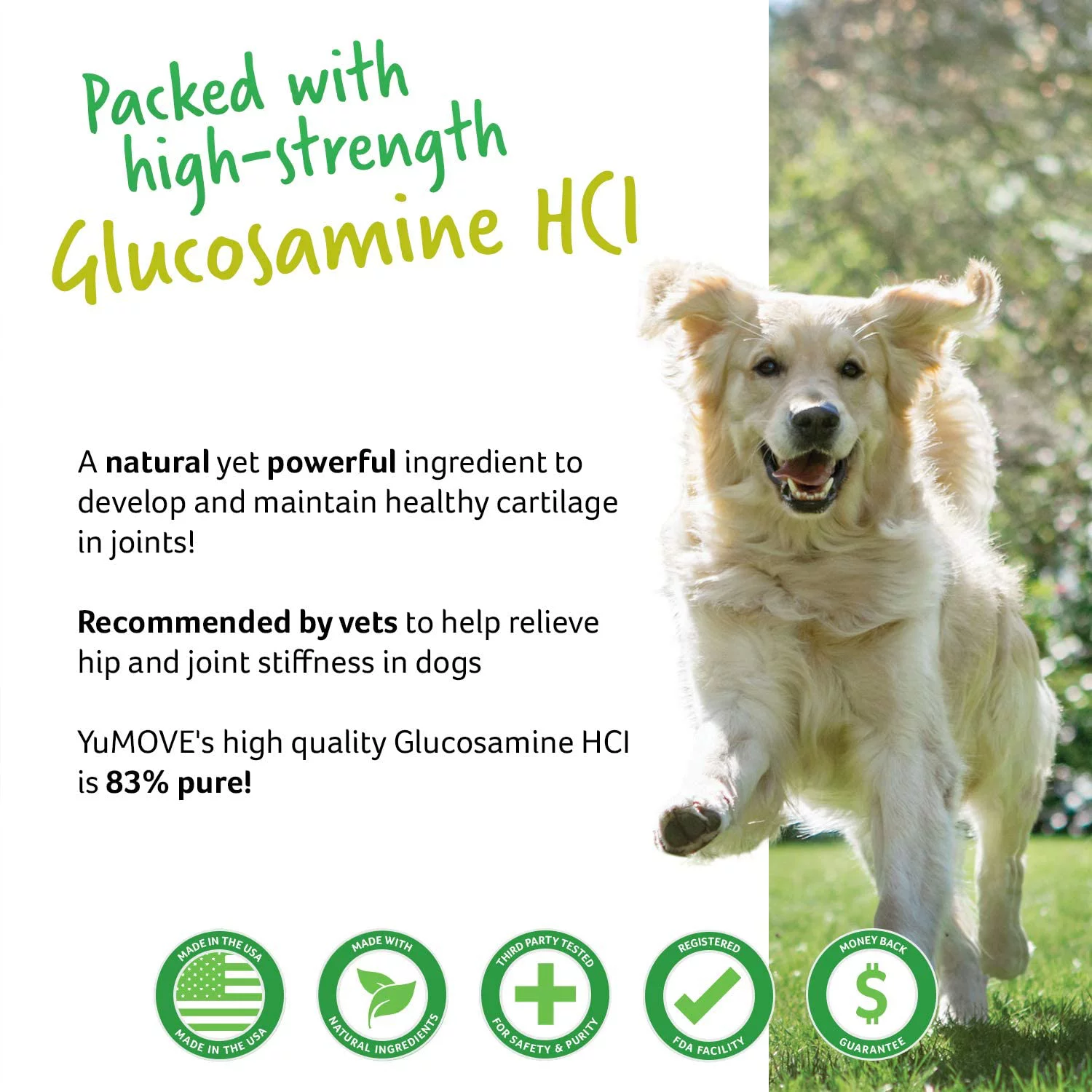 Lintbells YuMOVE Joint Supplement Dog Chews - Contains Glucosamine, Green Lipped Mussel - Natural Relief from Hip Ache, Stiff Joints - 1 Month’s Supply