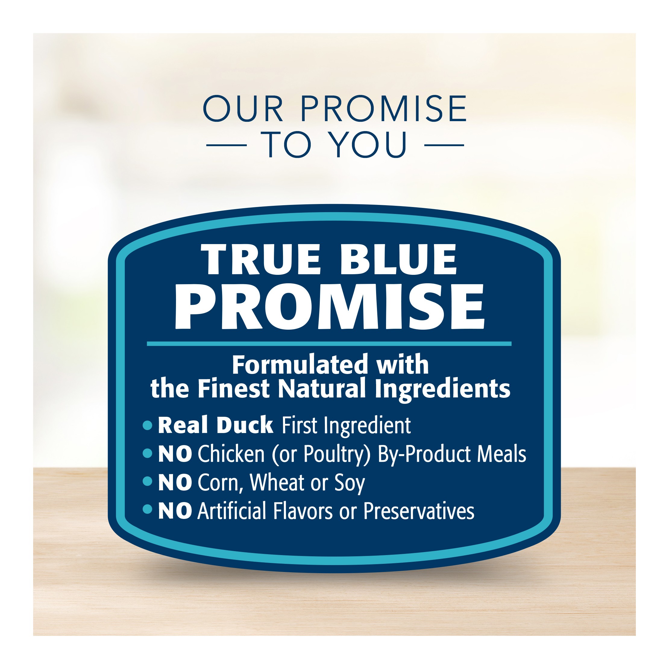 Basics Skin & Stomach Care Grain Free Natural Duck & Potato Adult Dry Dog Food - 22lbs