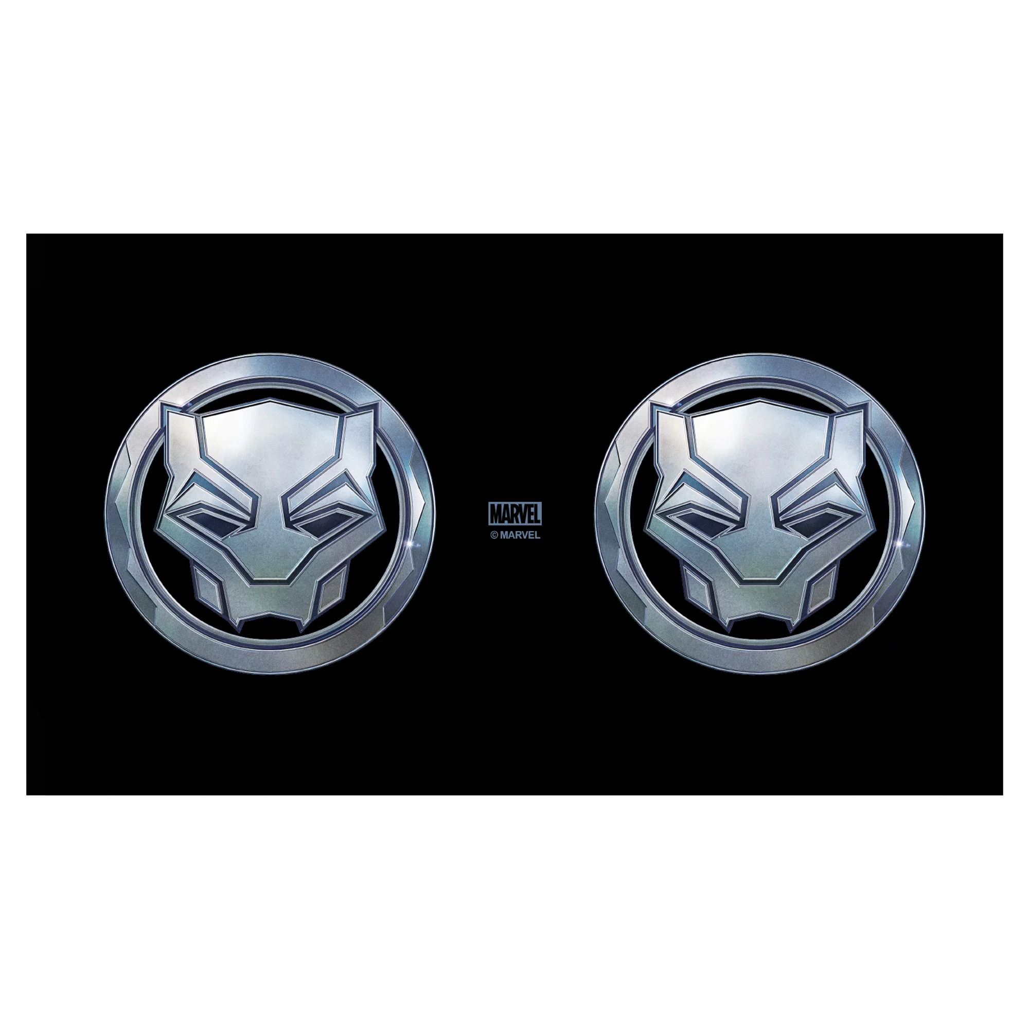 Black Panther: Wakanda Forever Vibranium Panther Logo  Stainless Steel Water Bottle Black 17 oz.