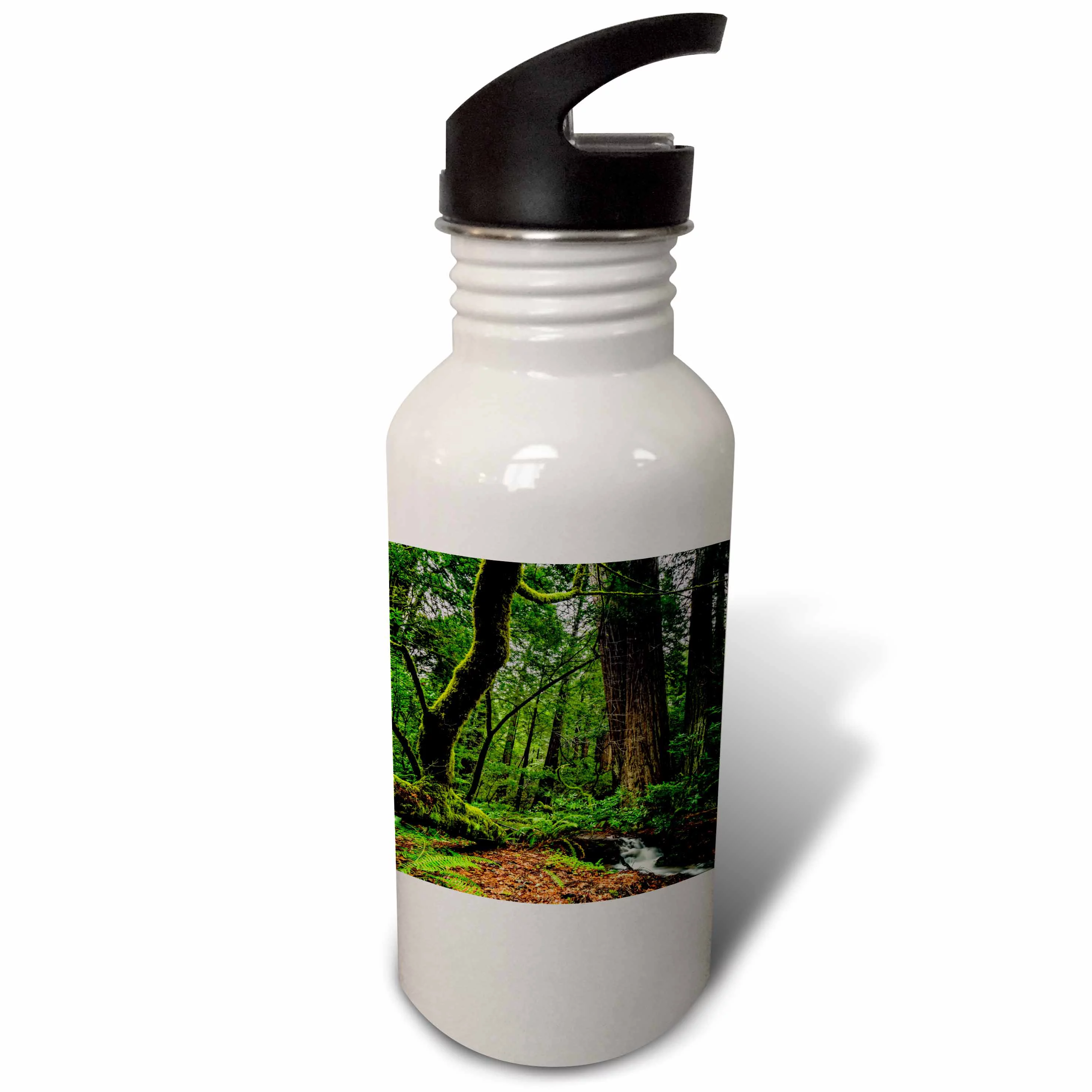 Muir Woods and Small Stream 21 oz Sports Water Bottle wb-203946-1