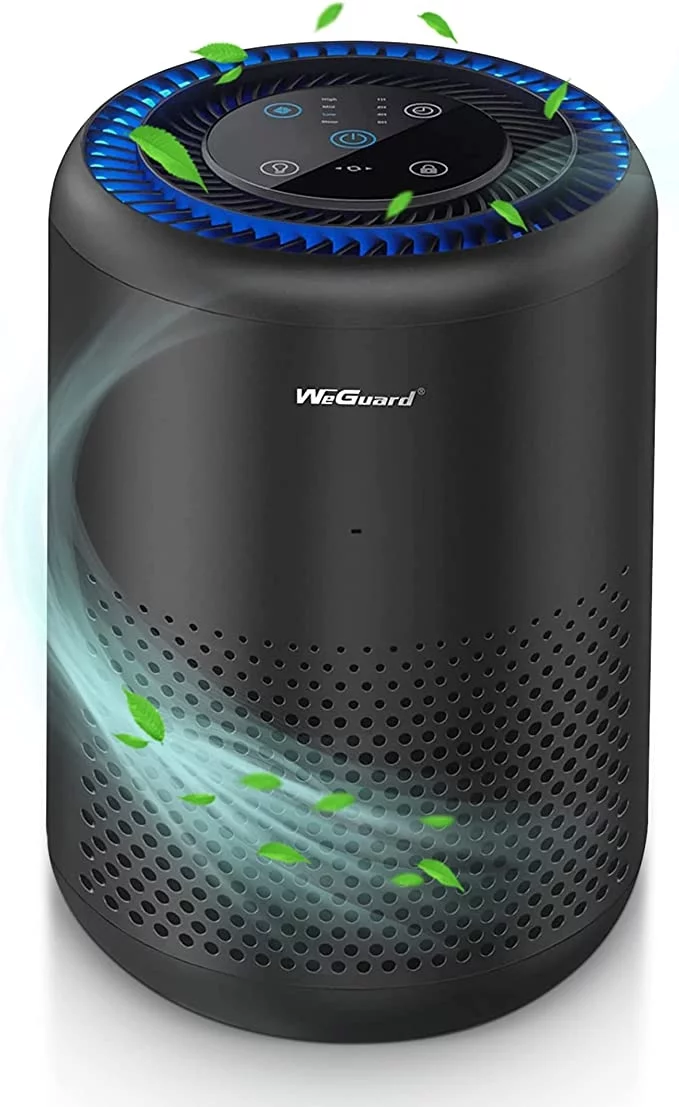 HEPA Air Purifiers for Home Bedroom, H13 True HEPA Filter Removes of Hair, Fur, Dust, Smoke, Mold, Pollen, Allergens, Odor , Quiet Mode, Ozone Free