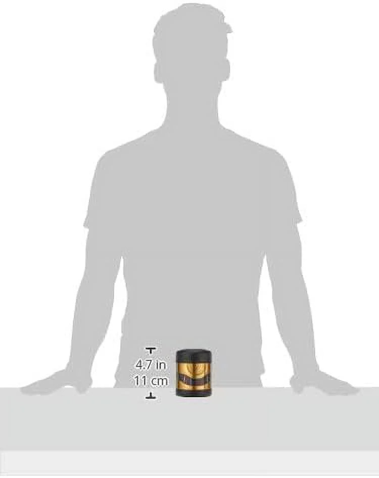 THERMOS FUNTAINER 10 Ounce Stainless Steel Vacuum Insulated Kids Food Jar, C-3Po