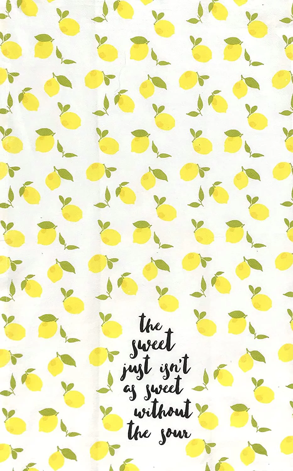 Serafina Home Keep Life Simple Kitchen Towels With Black Gingham, Set of 3