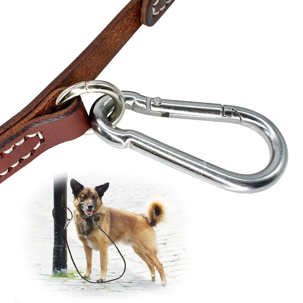 Pet Artist 6FT Real Leather Dog Leash Heavy Duty Training Leashes with Locking Carabiner