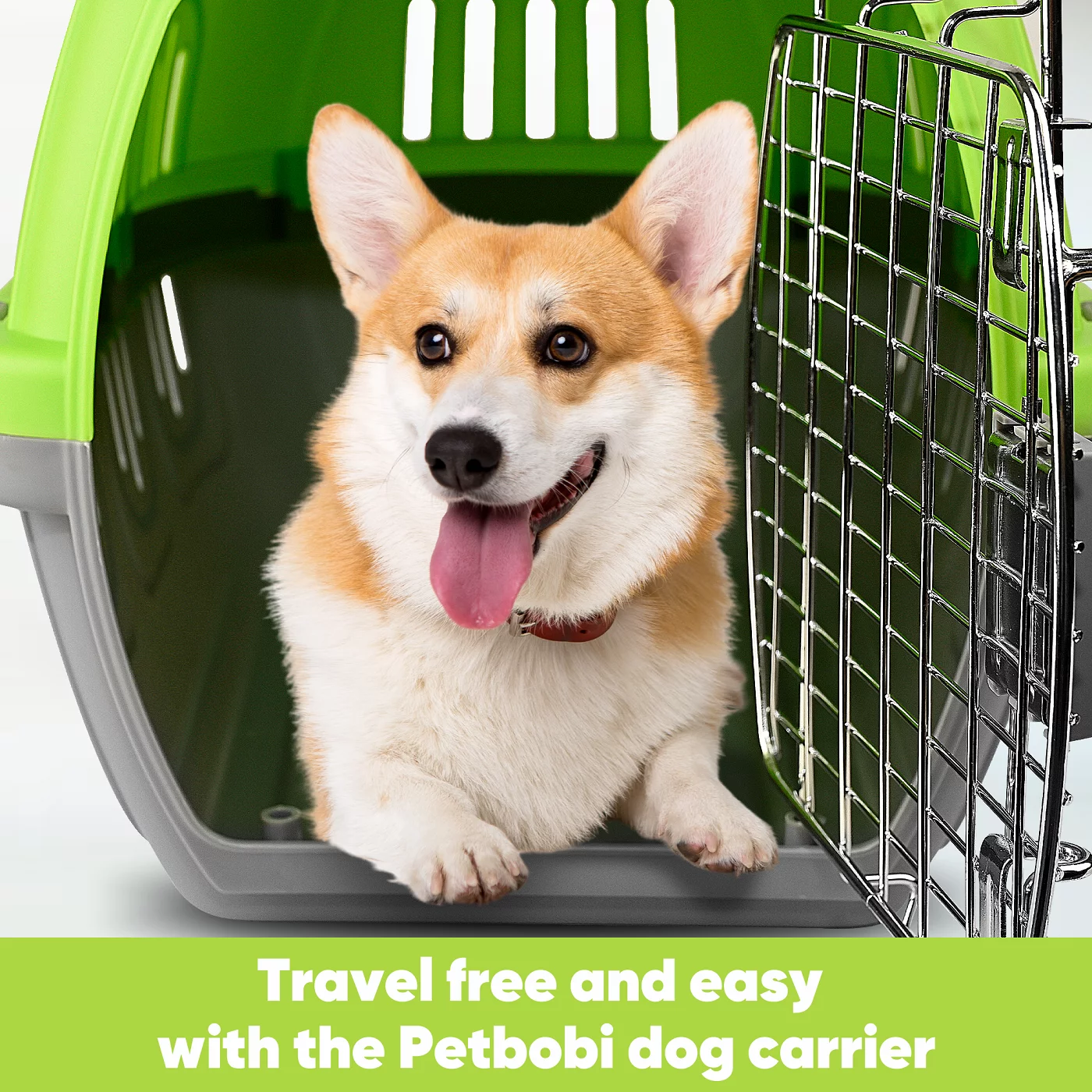 PETBOBI Plastic Transport Boxes for Small Dogs up to 10lbs, 19