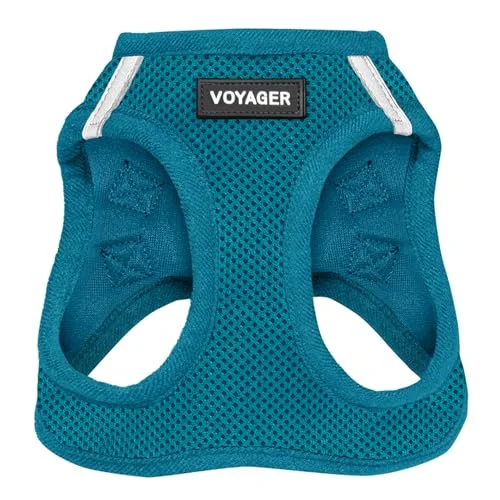 Voyager Step-in Air Dog Harness - All Weather Mesh Step in Vest Harness for Small and Medium Dogs and Cats by Best Pet Supplies - Harness (Turquoise), M (Chest: 16-18