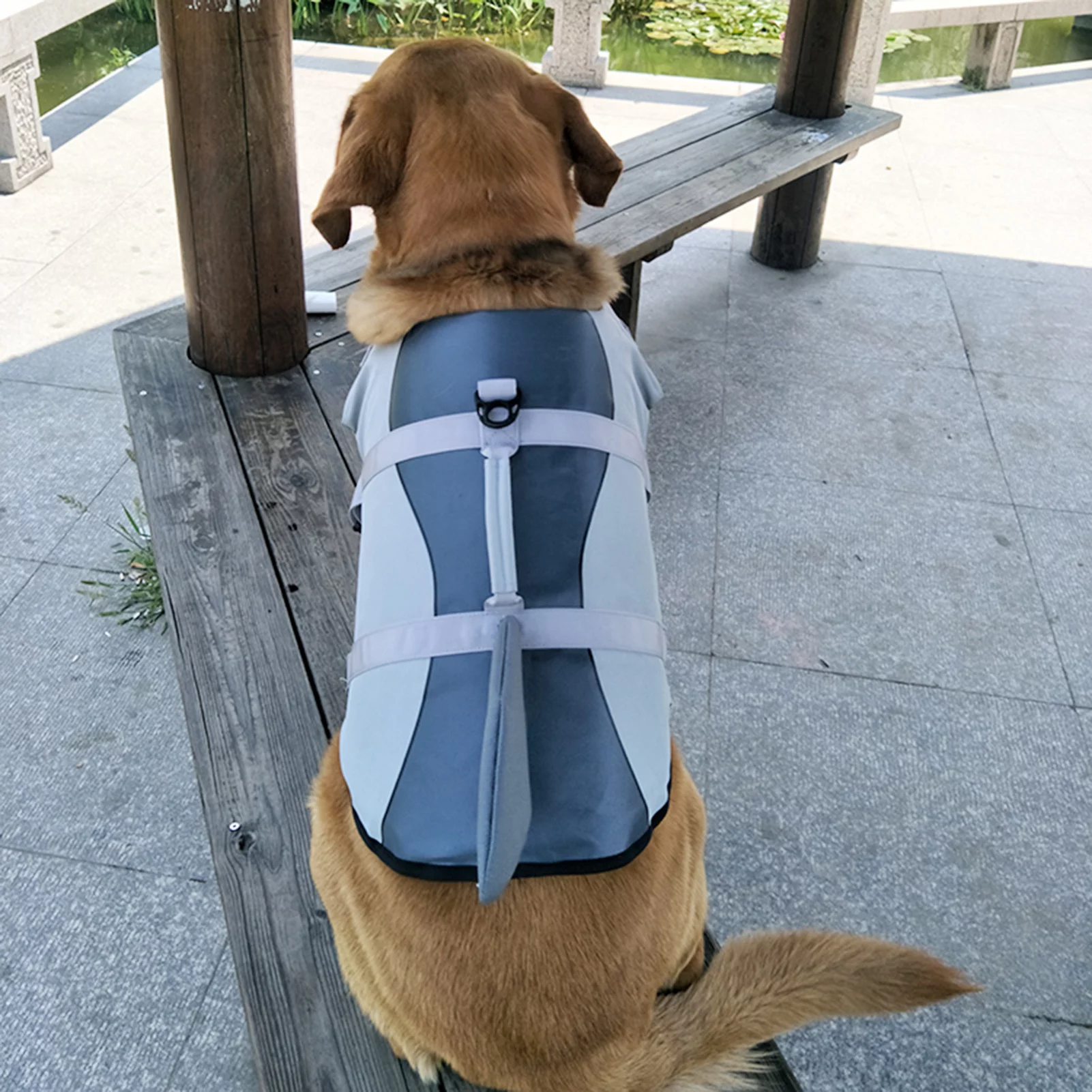 Dazzduo Lifejackets,Swimsuit Pet Shark Swimsuit Shark Swimsuit Vest Swimsuit Vest Pet Pet at The Pool Swimsuit Preserver Water Safety