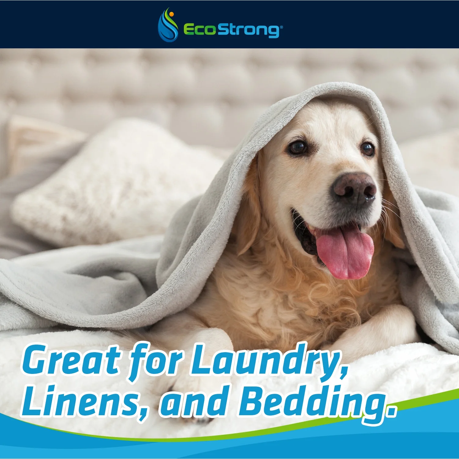 Dog Stain & Odor Eliminator: Bioactive Solution for Carpet, Furniture, Kennels and More (128 oz)