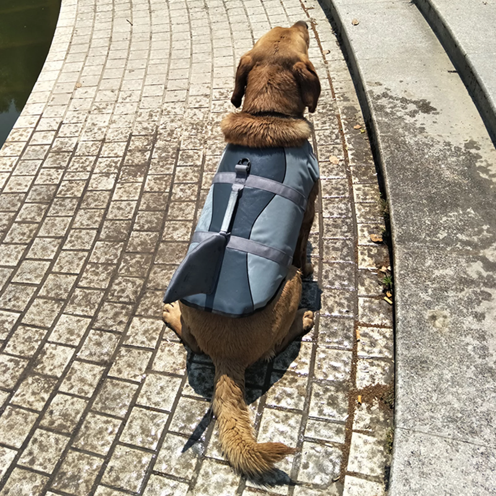 moobody Dog Life Jacket Shark Swimsuit Vest Safety Wear Dog Swimsuit Preserver for Water Safety Device at The Pool, Beach, Boating