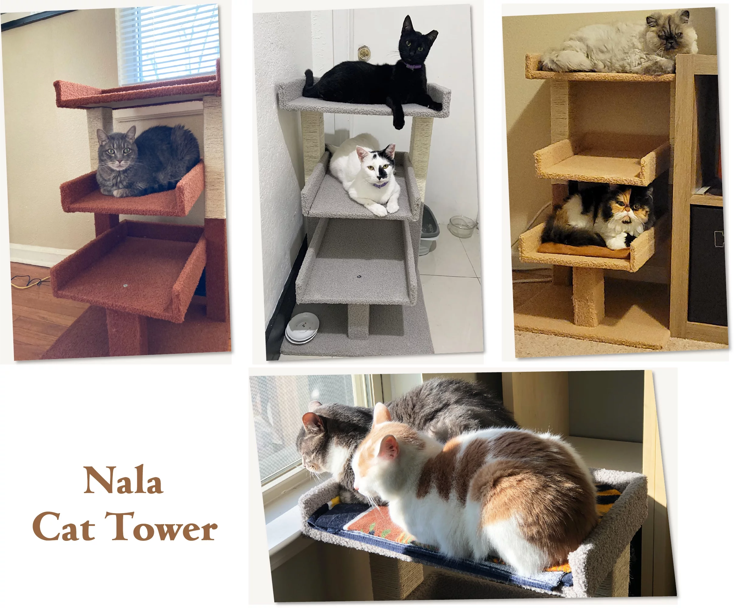 Naomi Home Multi-level Cat Tower for Large Cats to Climb, Cat Home, Cat Play Tower, Indoor Kitty Activity Center-Color: Gray