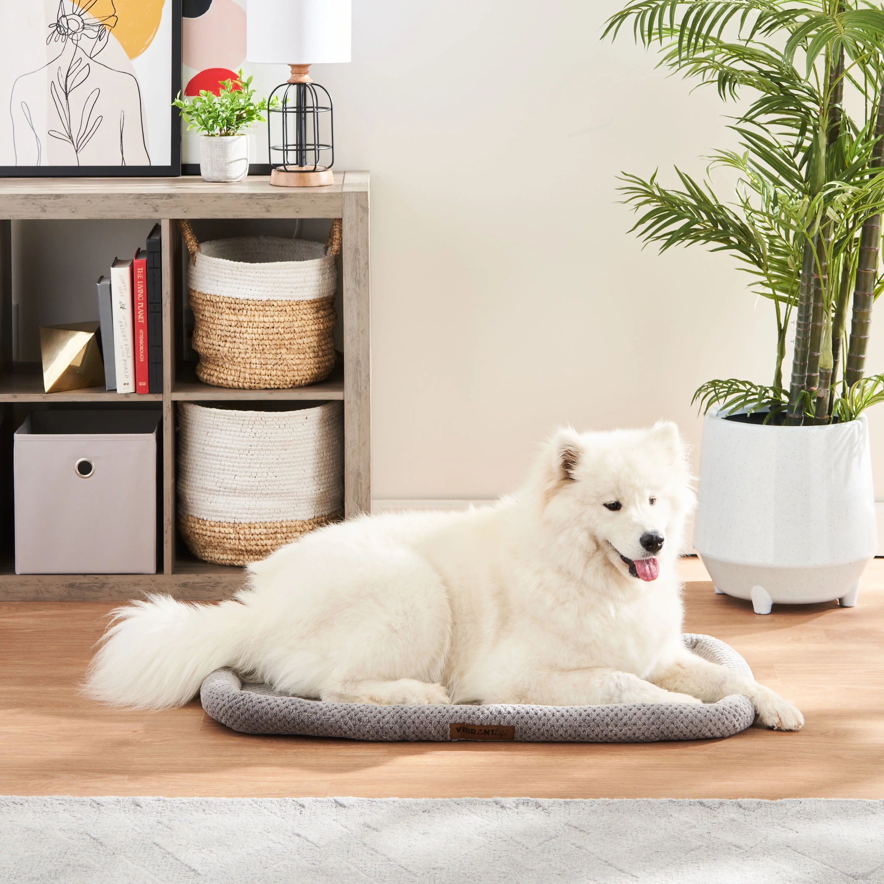 Vibrant Life Large Cozy Luxe Crate Mat Pet Bed, Gray