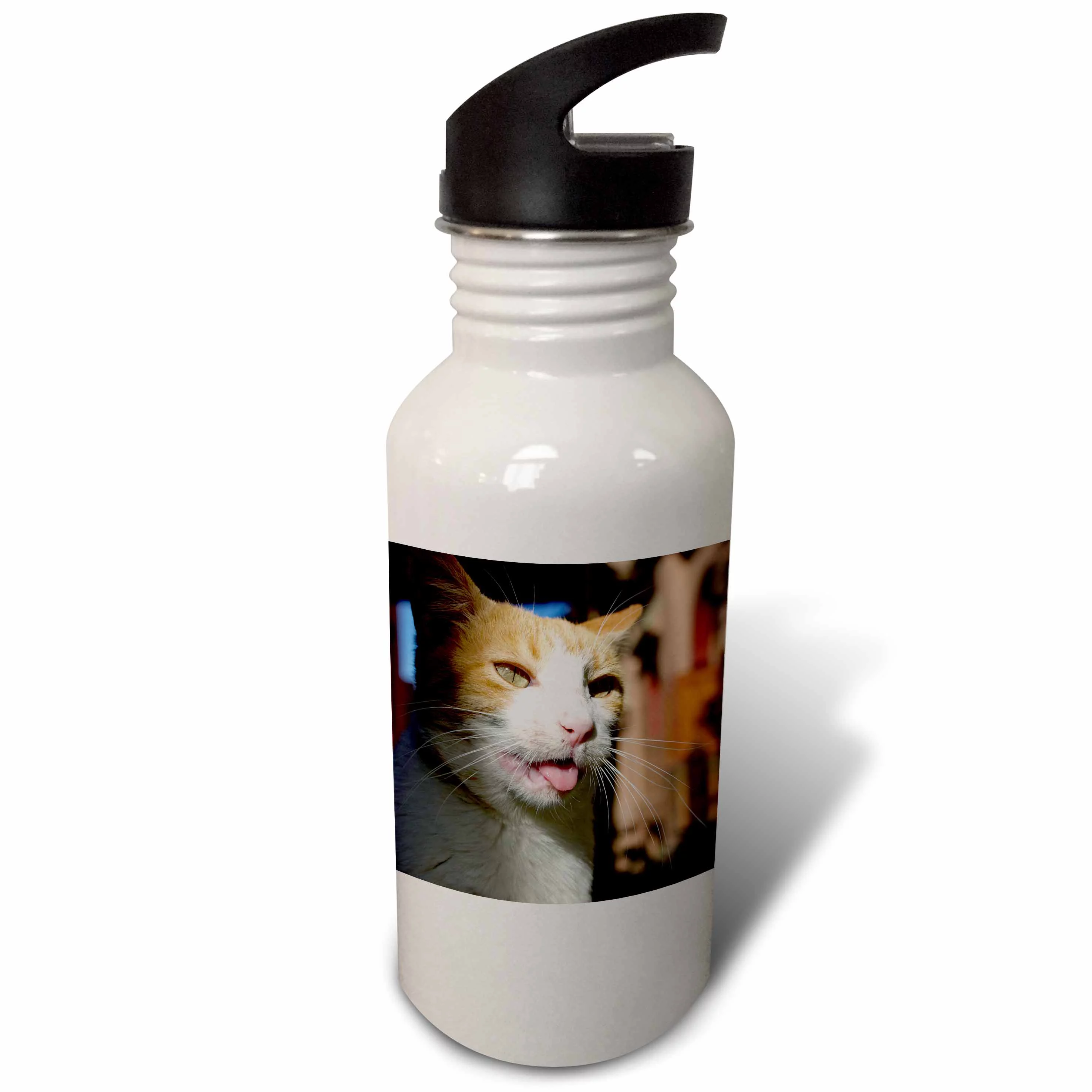 Male, Orange Tabby Cat, Morocco-AF29 MME0103 - Michele Molinari 21 oz Sports Water Bottle wb-70987-1