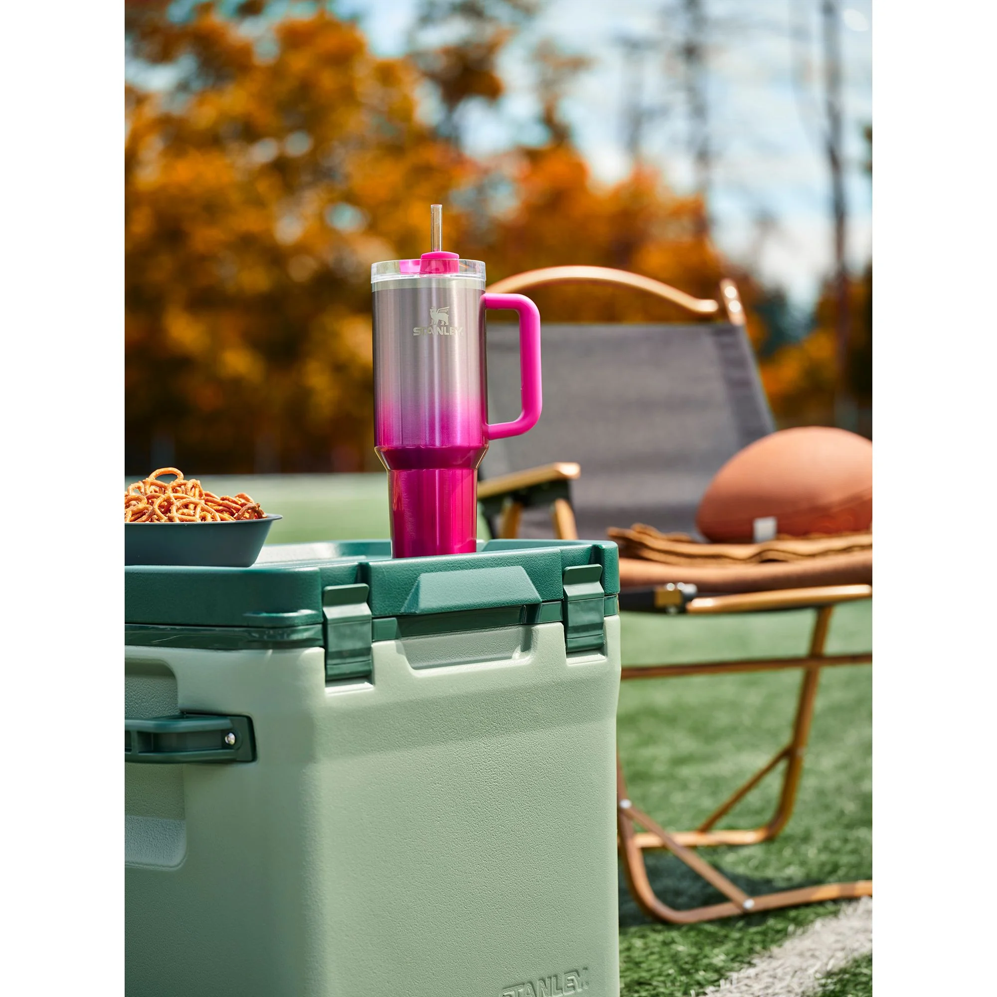 Stanley 40z Tumbler Cup Camelia Gradient Pink