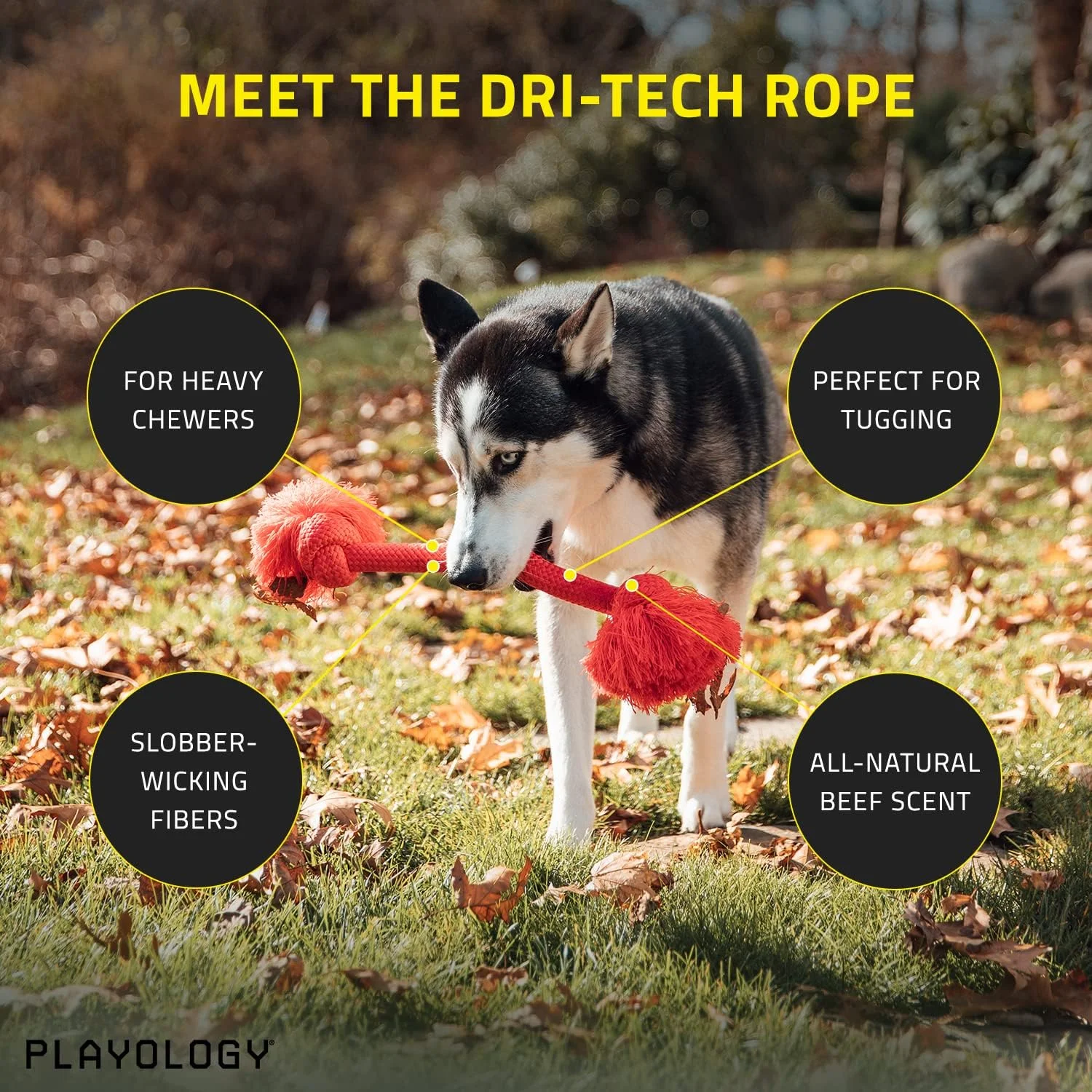 Playology - Dri-Tech Rope Dog Toy - Medium - Engaging All-Natural Beef Scent/Red