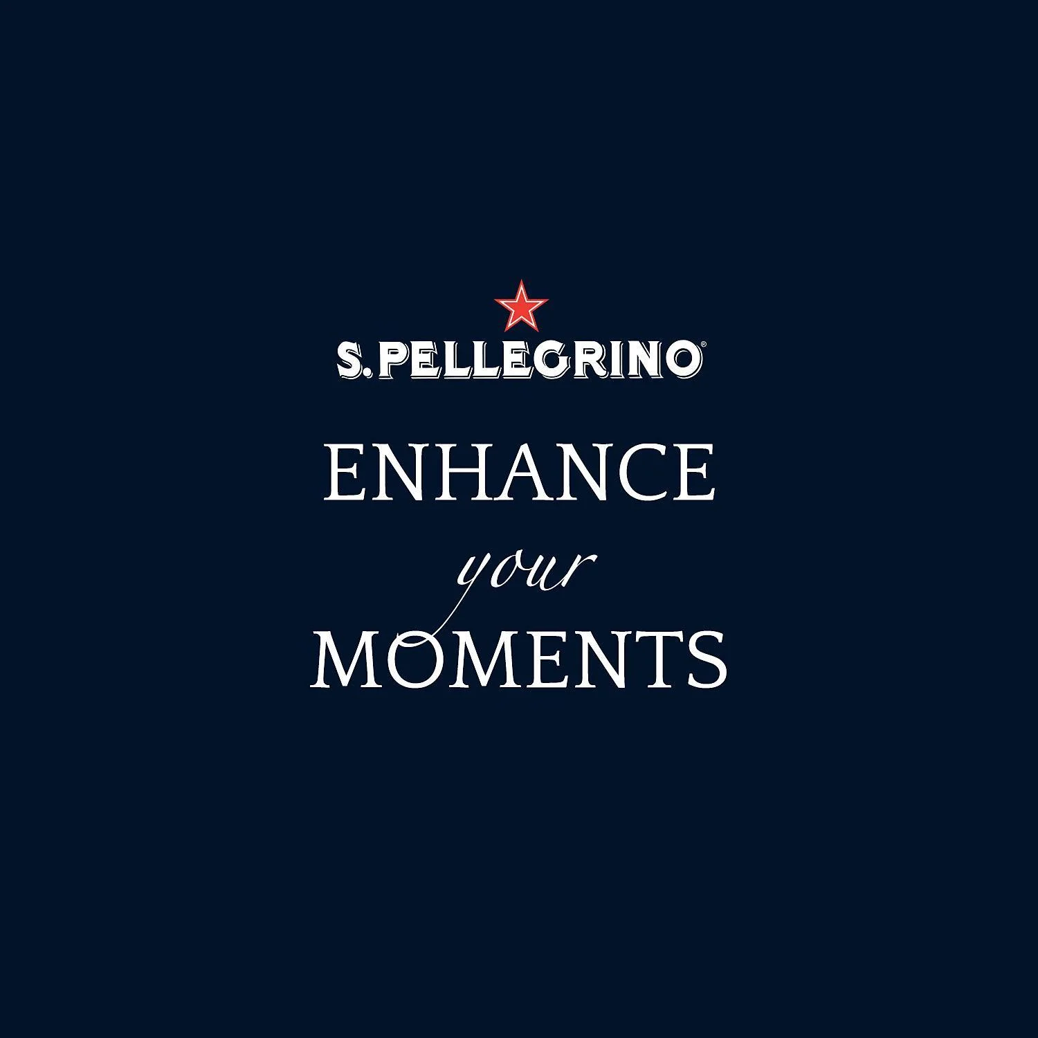 S.Pellegrino Sparkling Natural Mineral Water (16.9oz / 24pk)