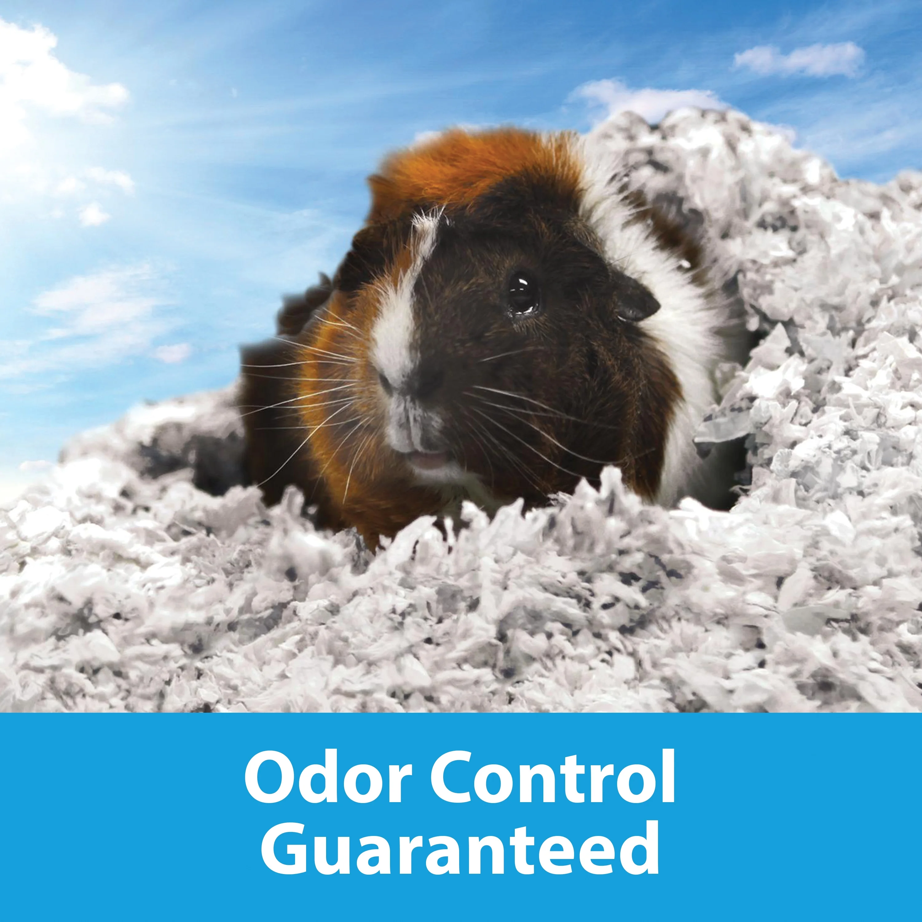 Kaytee Clean & Cozy White Small Animal Pet Bedding 49.2 Liters