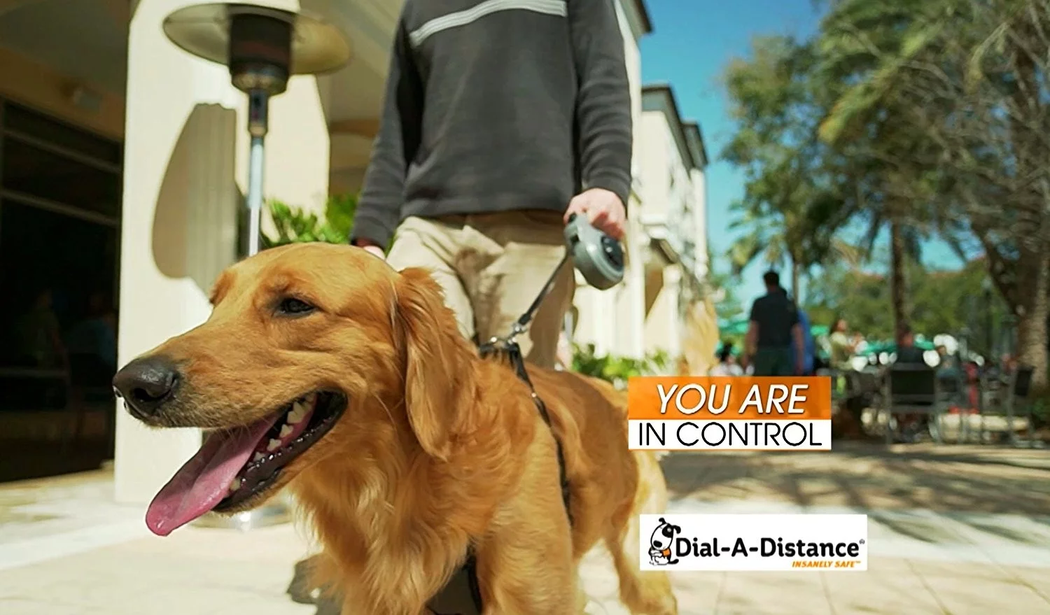 Dial-A-Distance Adjustable Retractable Dog Leash, Medium