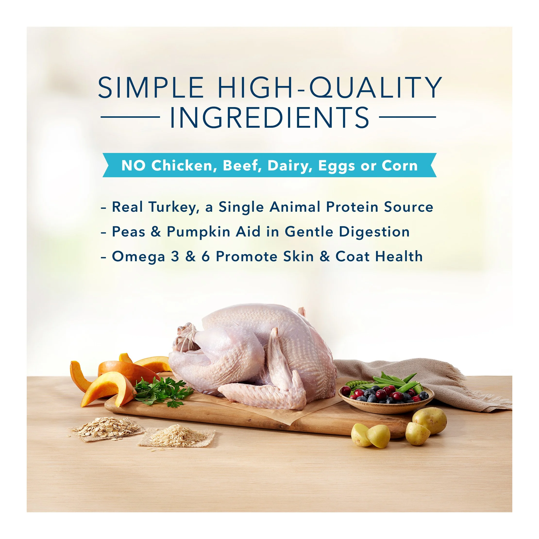 Basics Skin & Stomach Care Natural Adult Dry Dog Food with Turkey & Potato - 11lbs