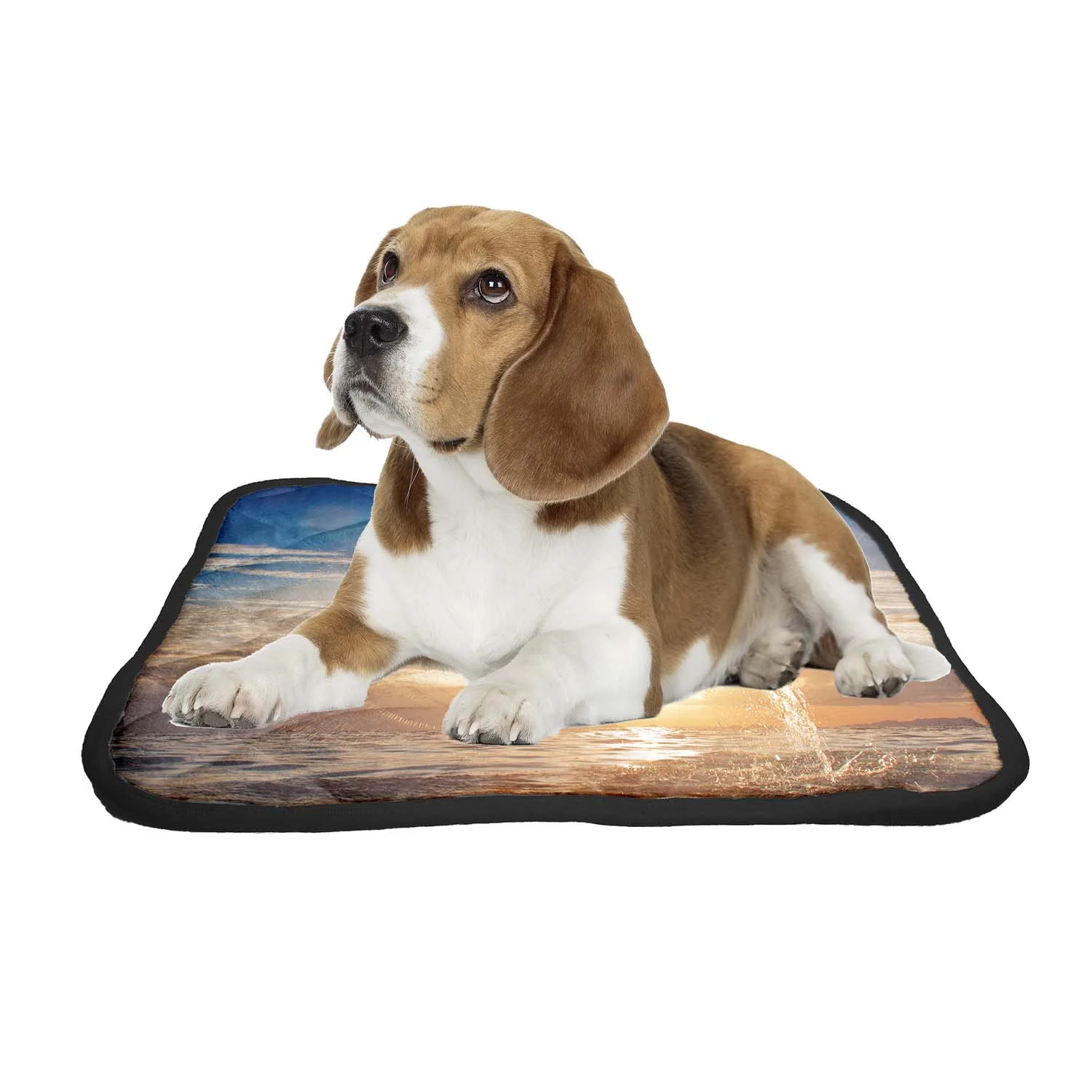 PKQWTM dolphin leaping jumping shining sunset sea water Pet Dog Cat Bed Pee Pads Mat Cushion Potty Dogs Blankets Crate Bed Kennel 25x30 inch