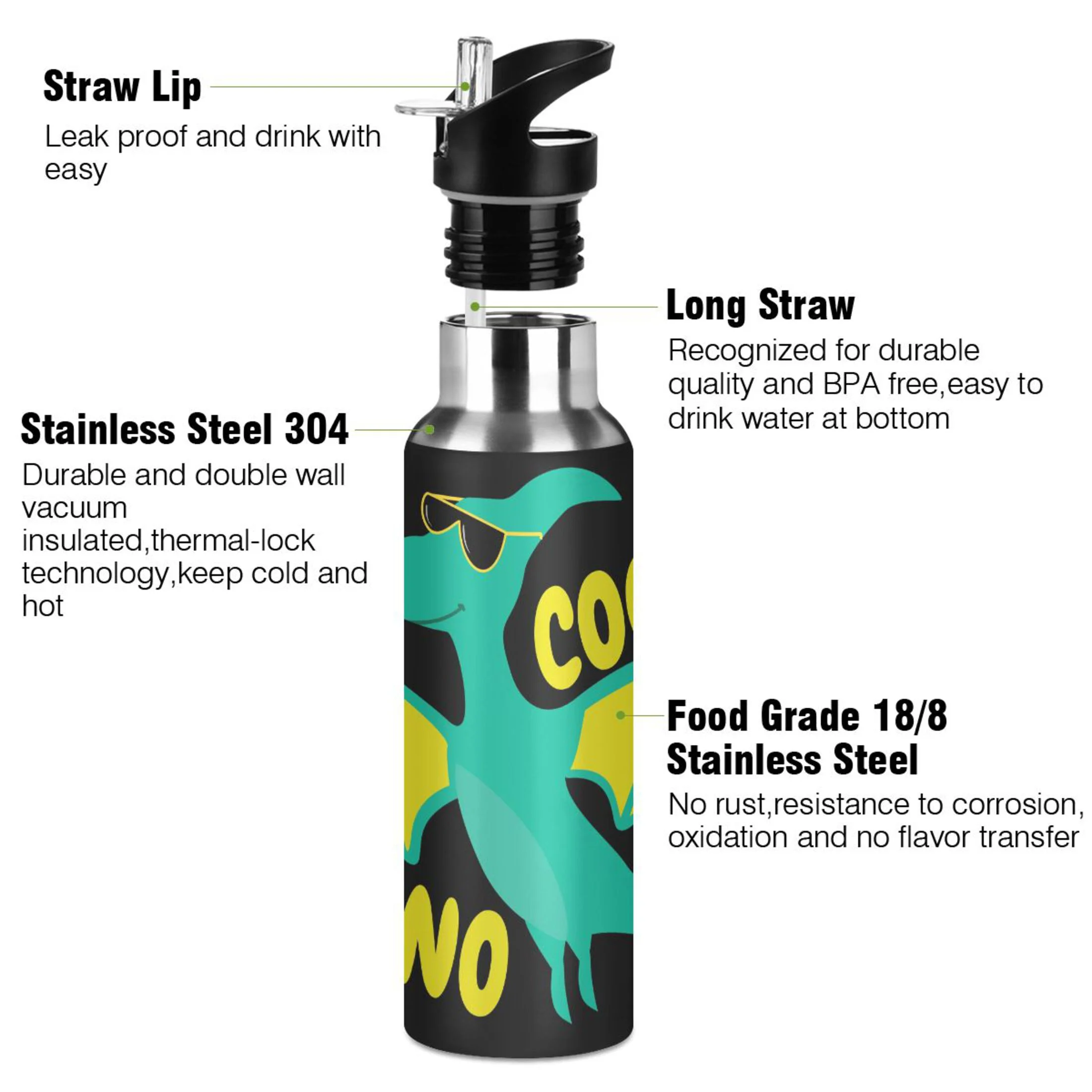 Stainless Steel Water Bottle Cool Dinosaur Cute Animal with Straw Lid Vacuum Insulated Keeps Hot and Cold Leak Proof Flask Jug for Gym Travel Sports Cycling Outdoor 20 OZ