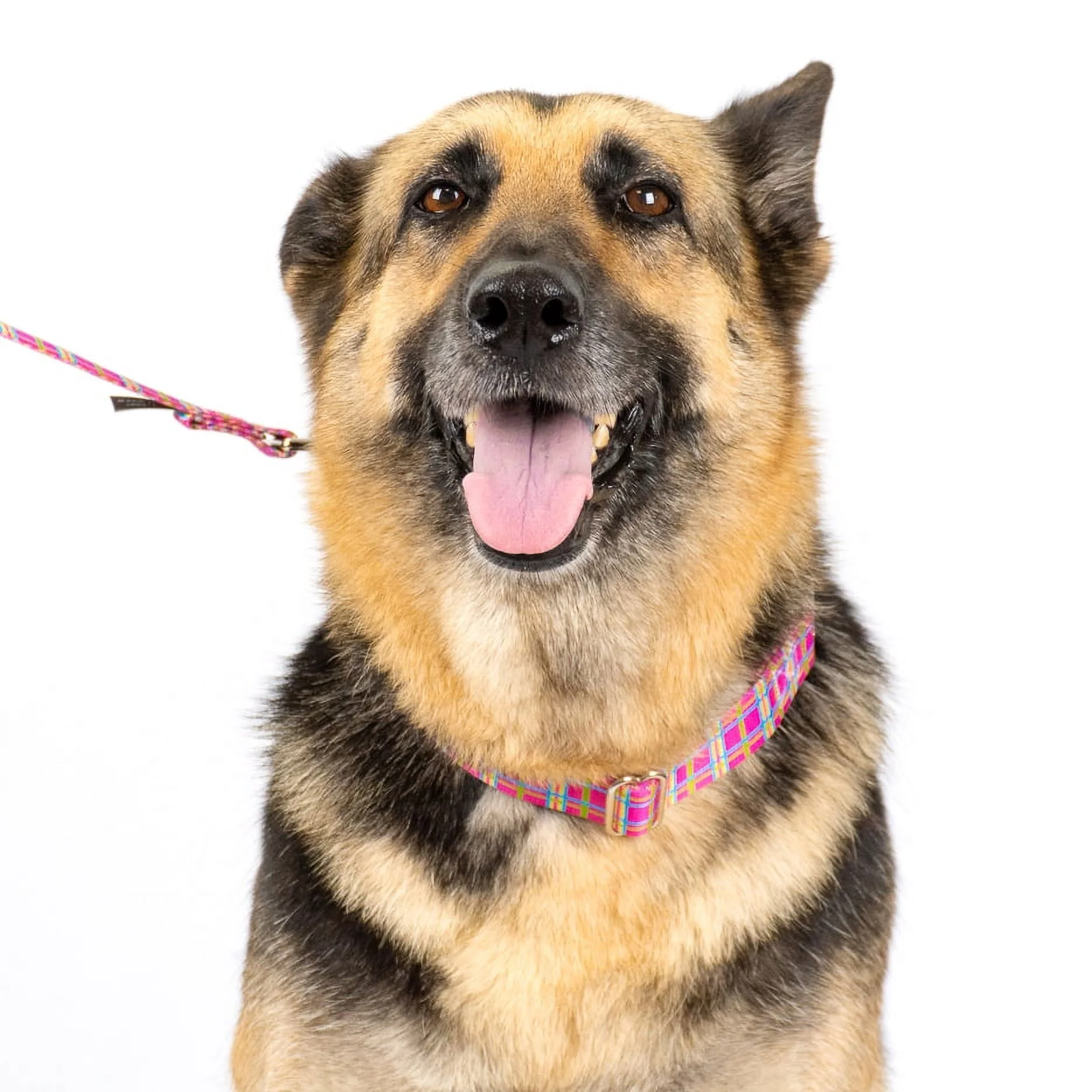 Country Brook Design - 1 inch Bubblegum Pink Plaid Dog Leash - 6 feet