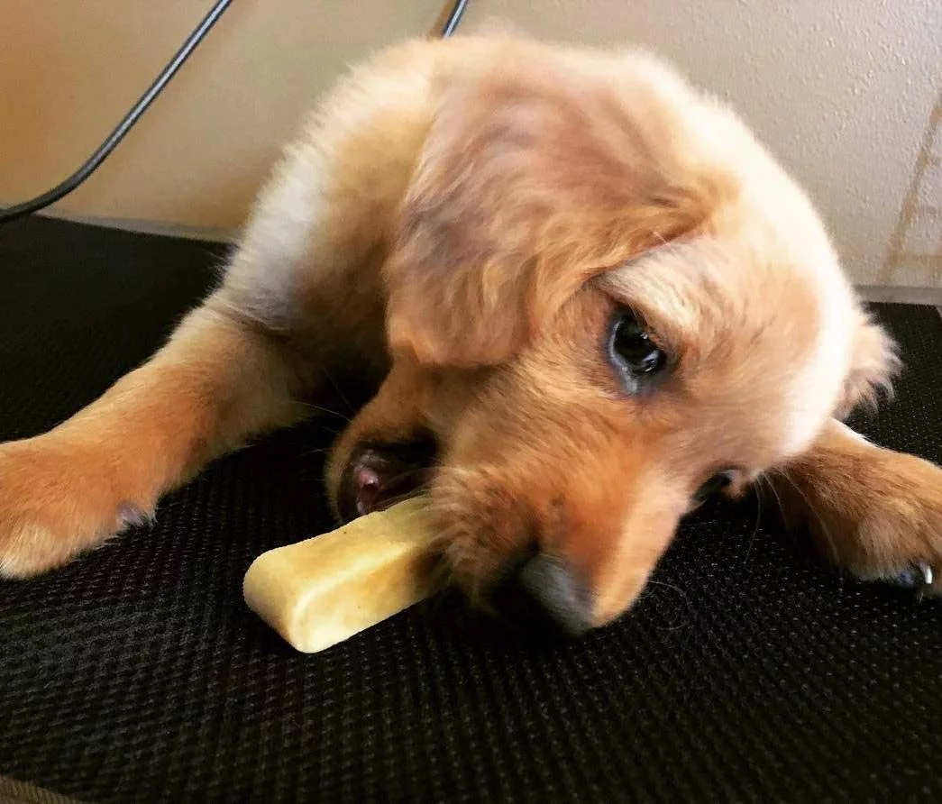 Doggo Dog Chew, Natural Himalayan Yak Cheese Long Lasting Chew, Small, 3 Pound (42 Pieces)