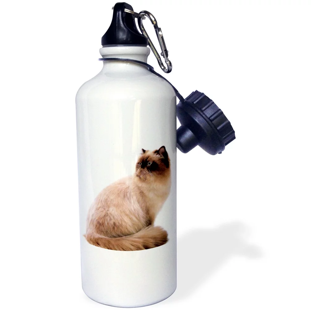 3dRose Himalayan, Sports Water Bottle, 21oz