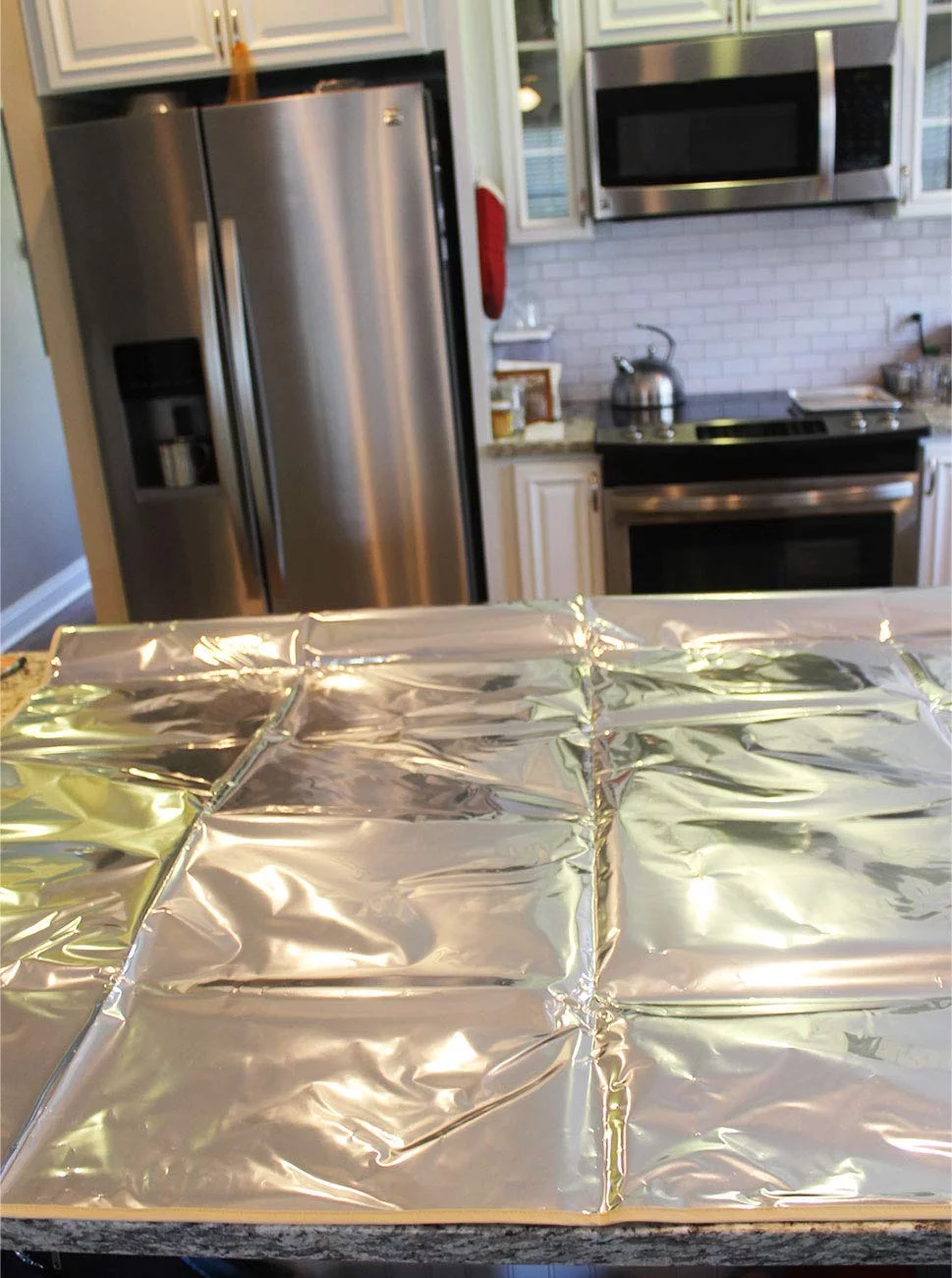 Enthusiast Gear Pet Repellent Mat - Non Electric Cat & Dog Deterrent Mat