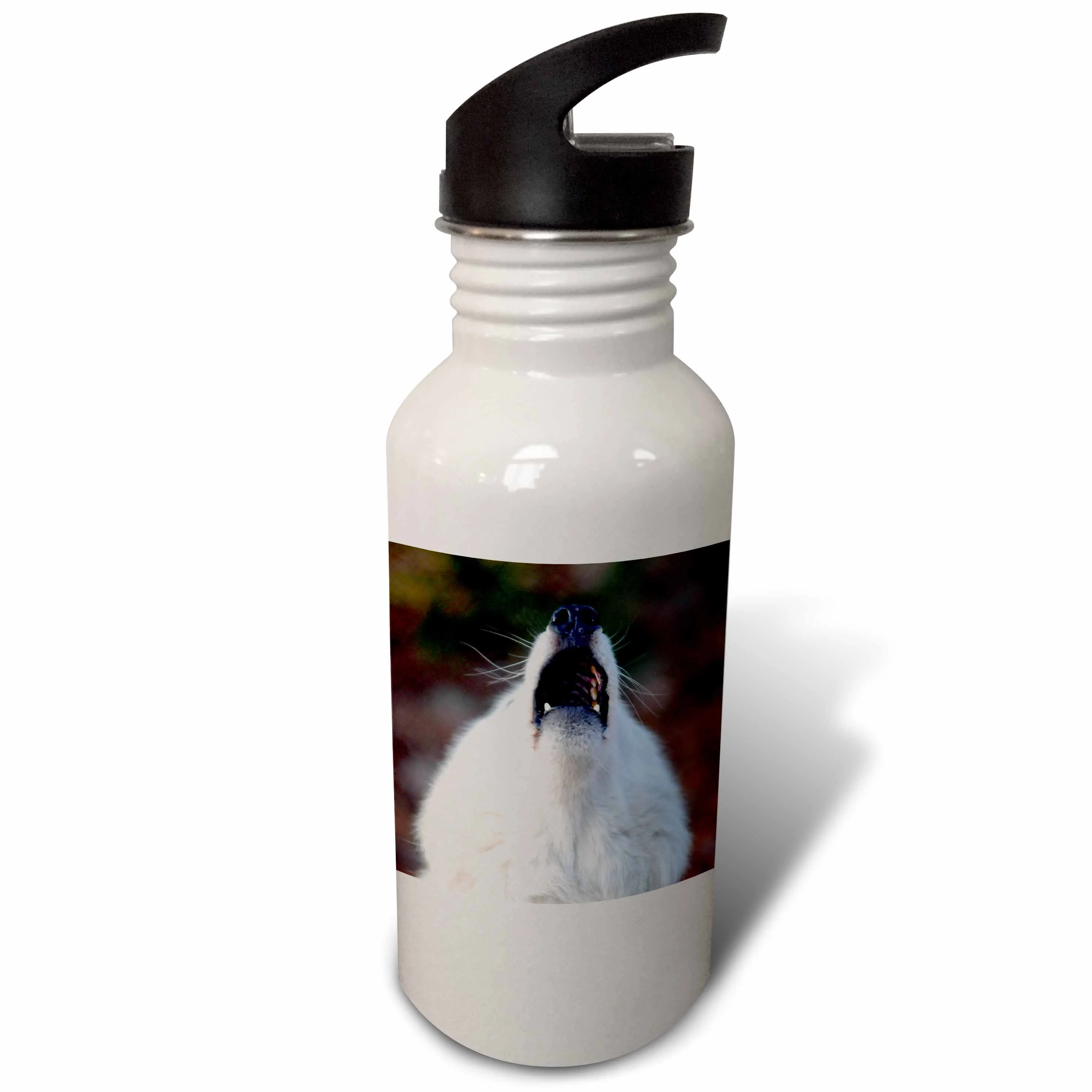 White Arctic Wolf, closeup 21 oz Sports Water Bottle wb-124320-1