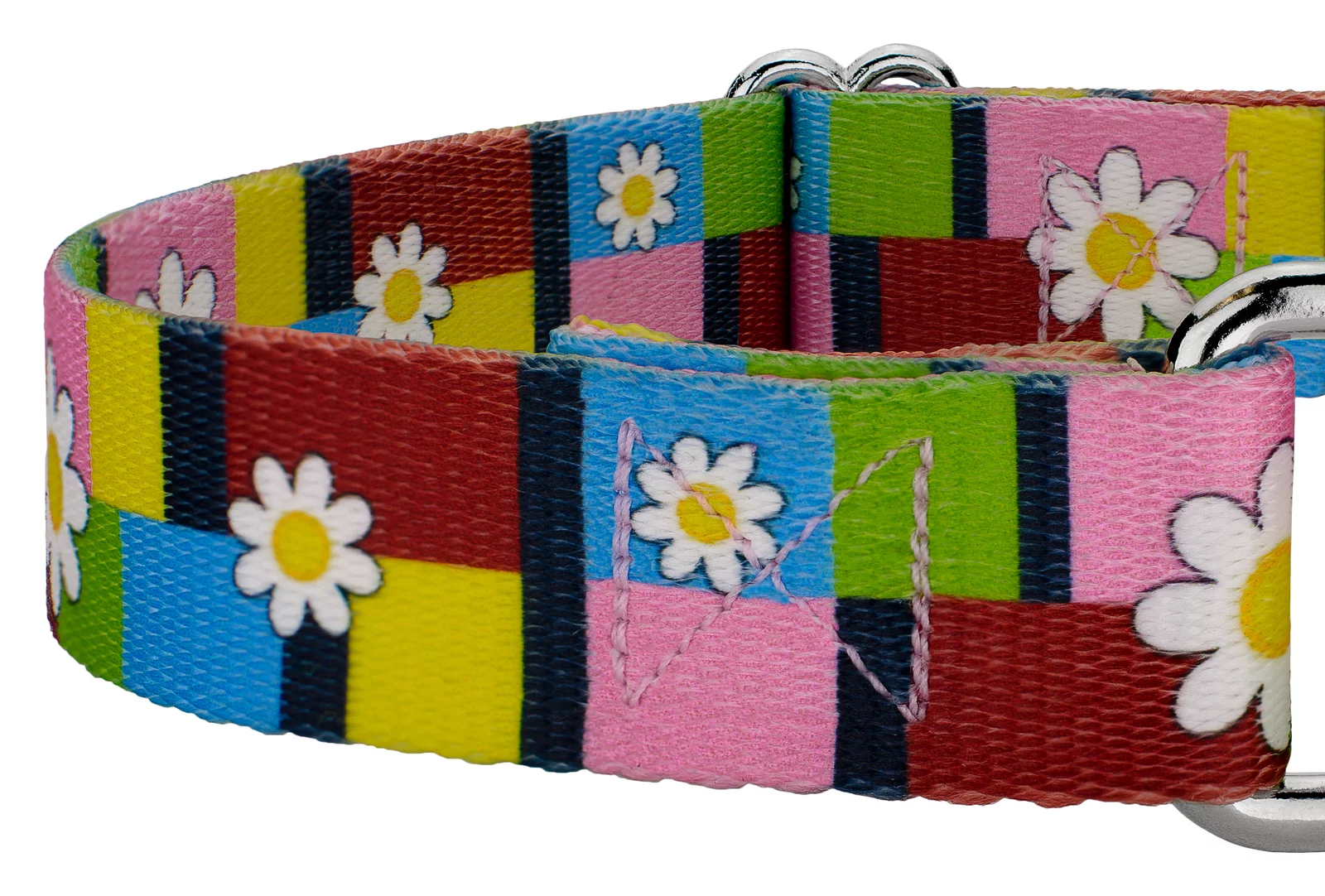Country Brook Design® Spring Daisies Martingale Dog Collar and Leash, Mini