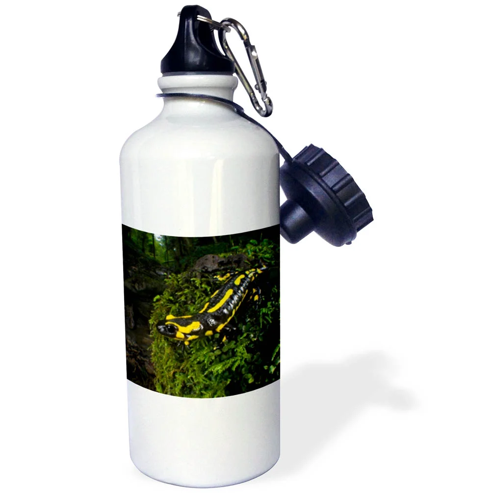 Fire Salamander lizard, Switzerland - EU29 AMR0006 - Andres Morya Hinojosa 21 oz Sports Water Bottle wb-139721-1