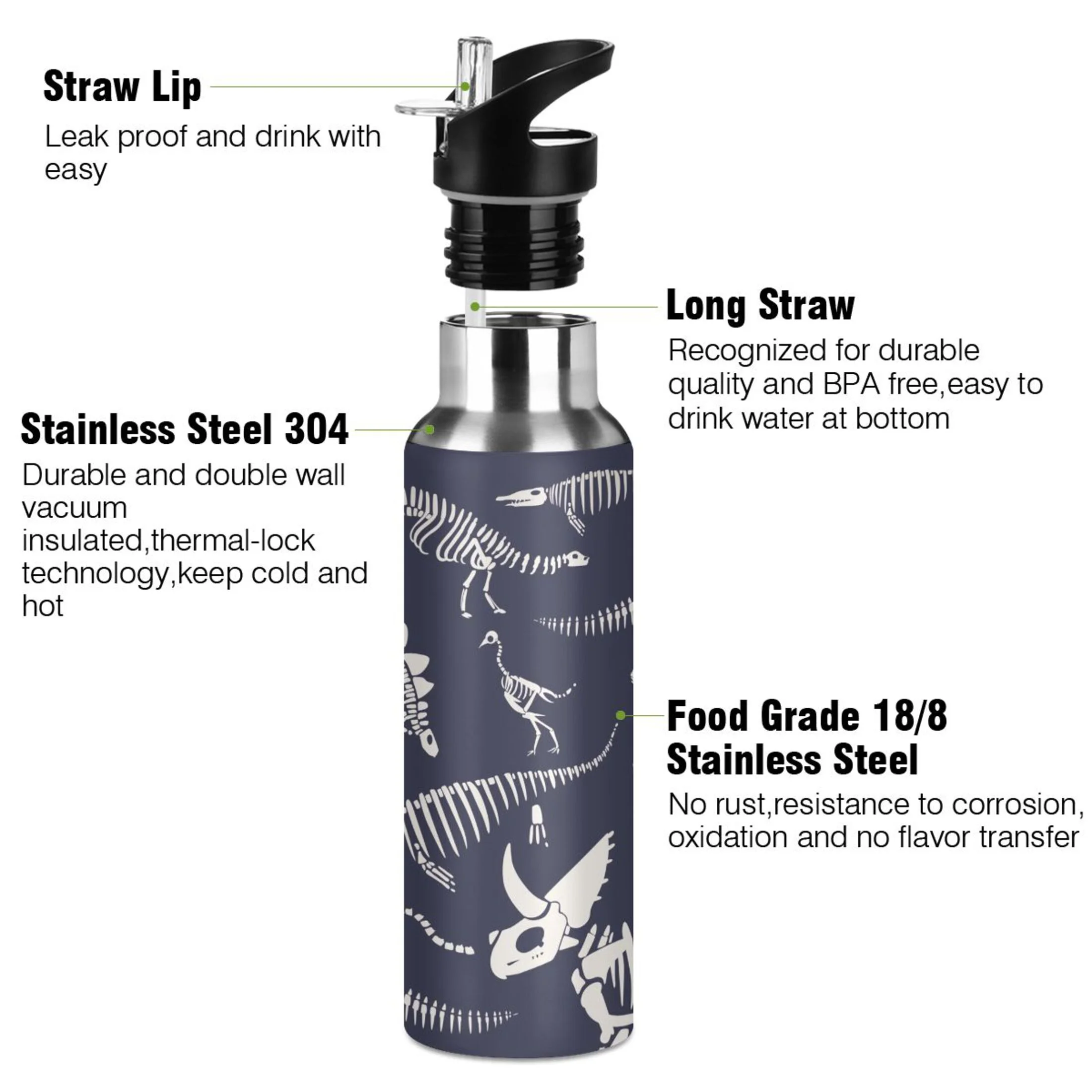 Stainless Steel Water Bottle Dinosaur Fossil Skeleton with Straw Lid Vacuum Insulated Keeps Hot and Cold Leak Proof Flask Jug for Gym Travel Sports Cycling Outdoor 20 OZ