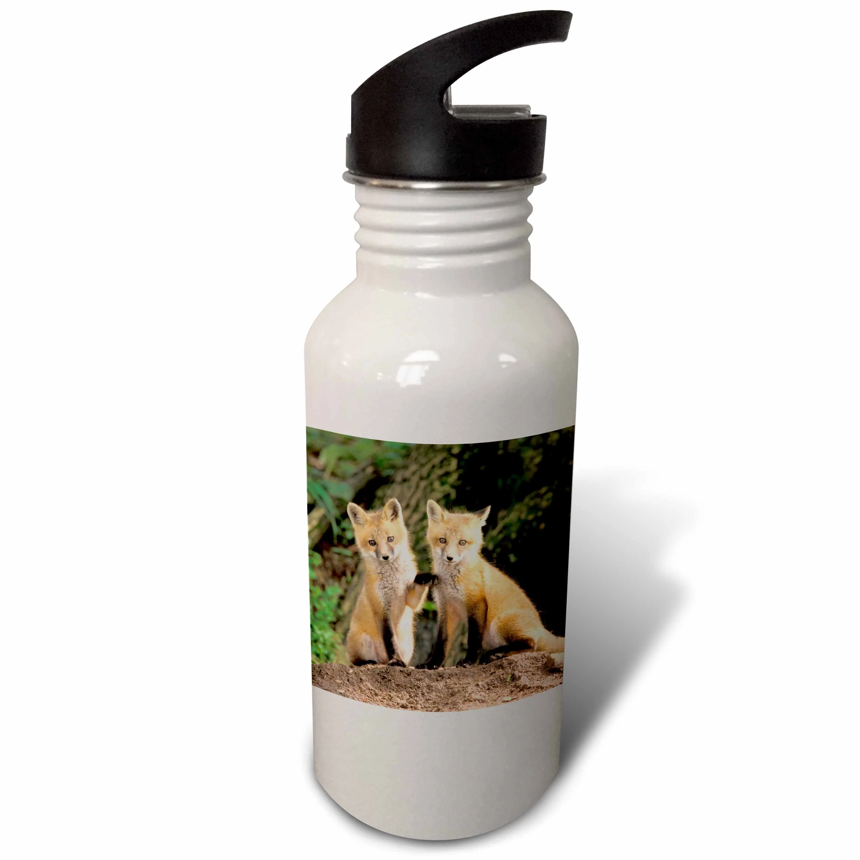 Red Fox pup in front of den - NA02 AJE0310 - Adam Jones 21 oz Sports Water Bottle wb-83613-1
