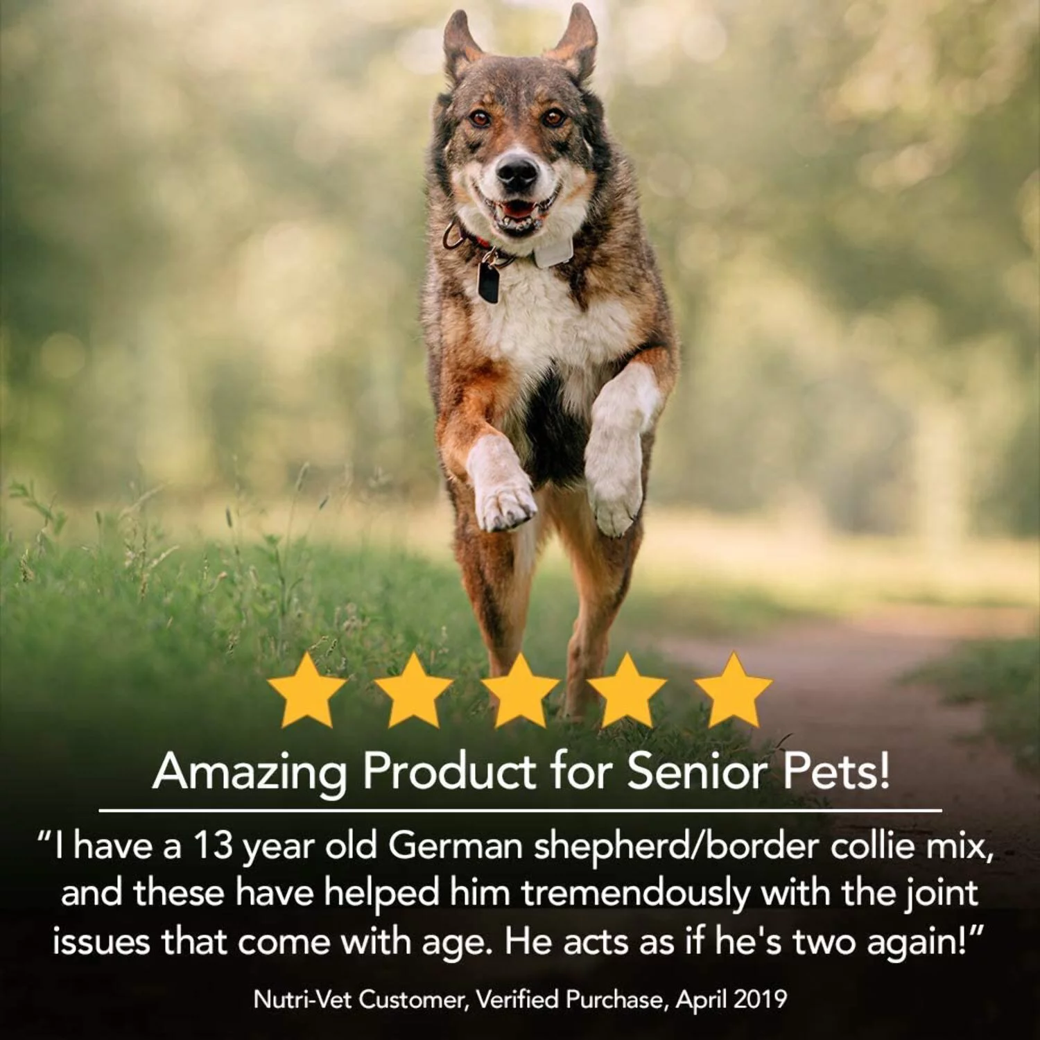 Nutri-Vet Hip  Joint Chewable Dog Supplements 90 Count