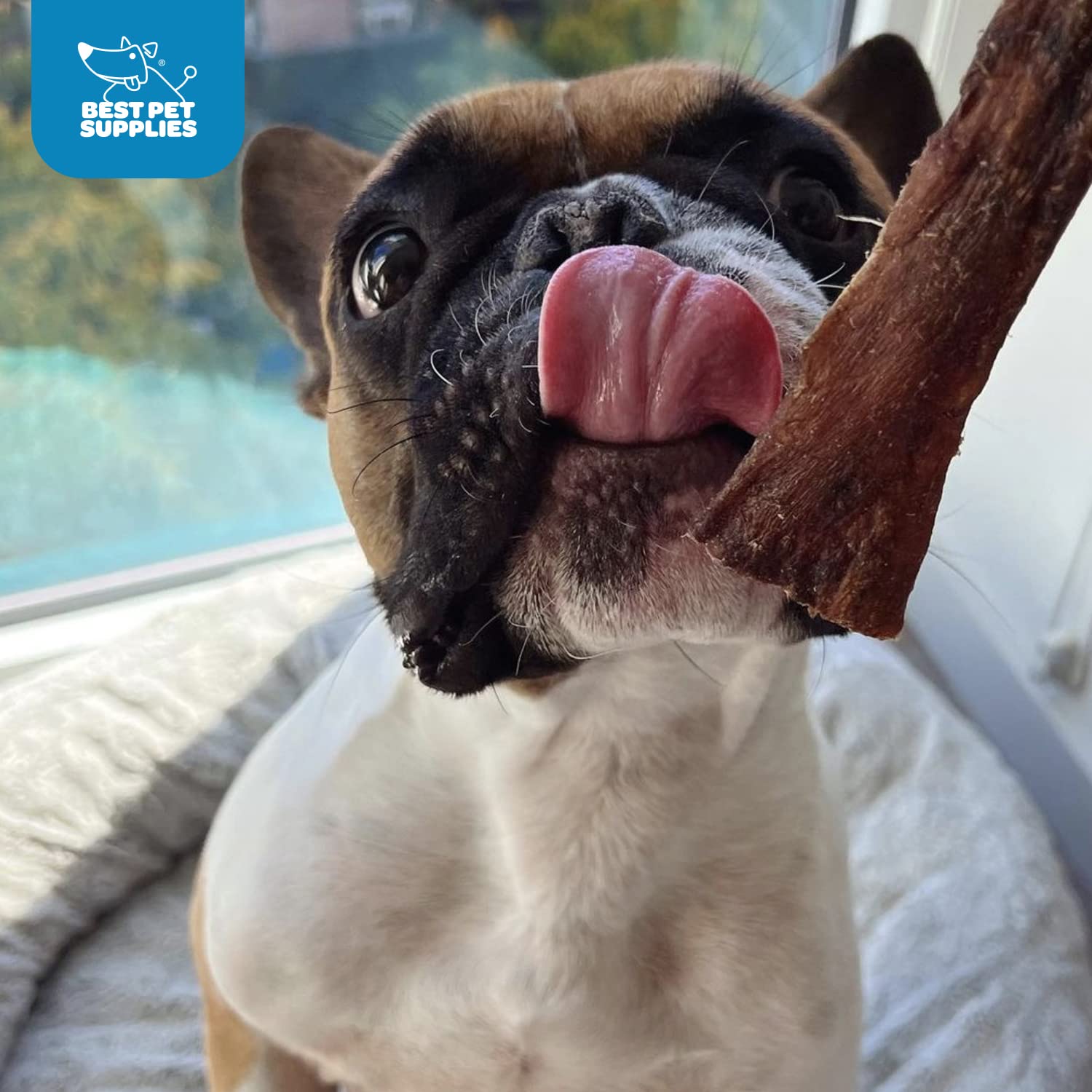 GigaBite 12 Inch Beef Esophagus Dog Treat Strips by Best Pet Supplies - Pack of 10, TES-12-10