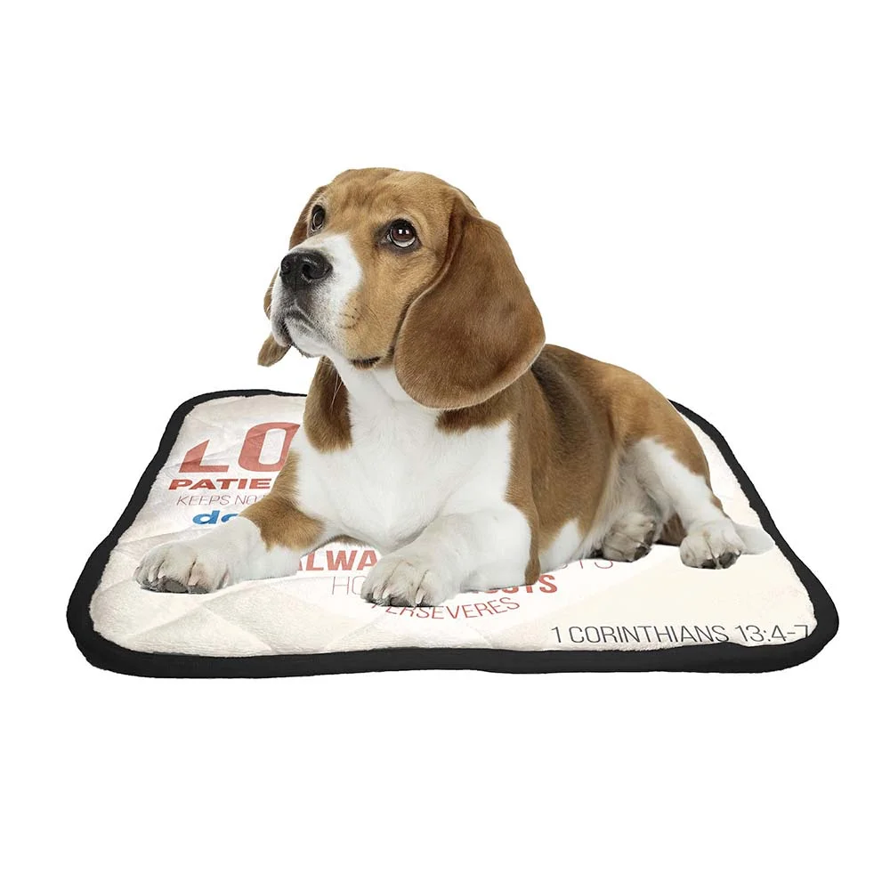 ECZJNT Bible Verse For Evangelist Pet Dog Cat Bed Pee Pads Mat Cushion Potty Dogs Blankets Crate Bed Kennel 25x30 inch