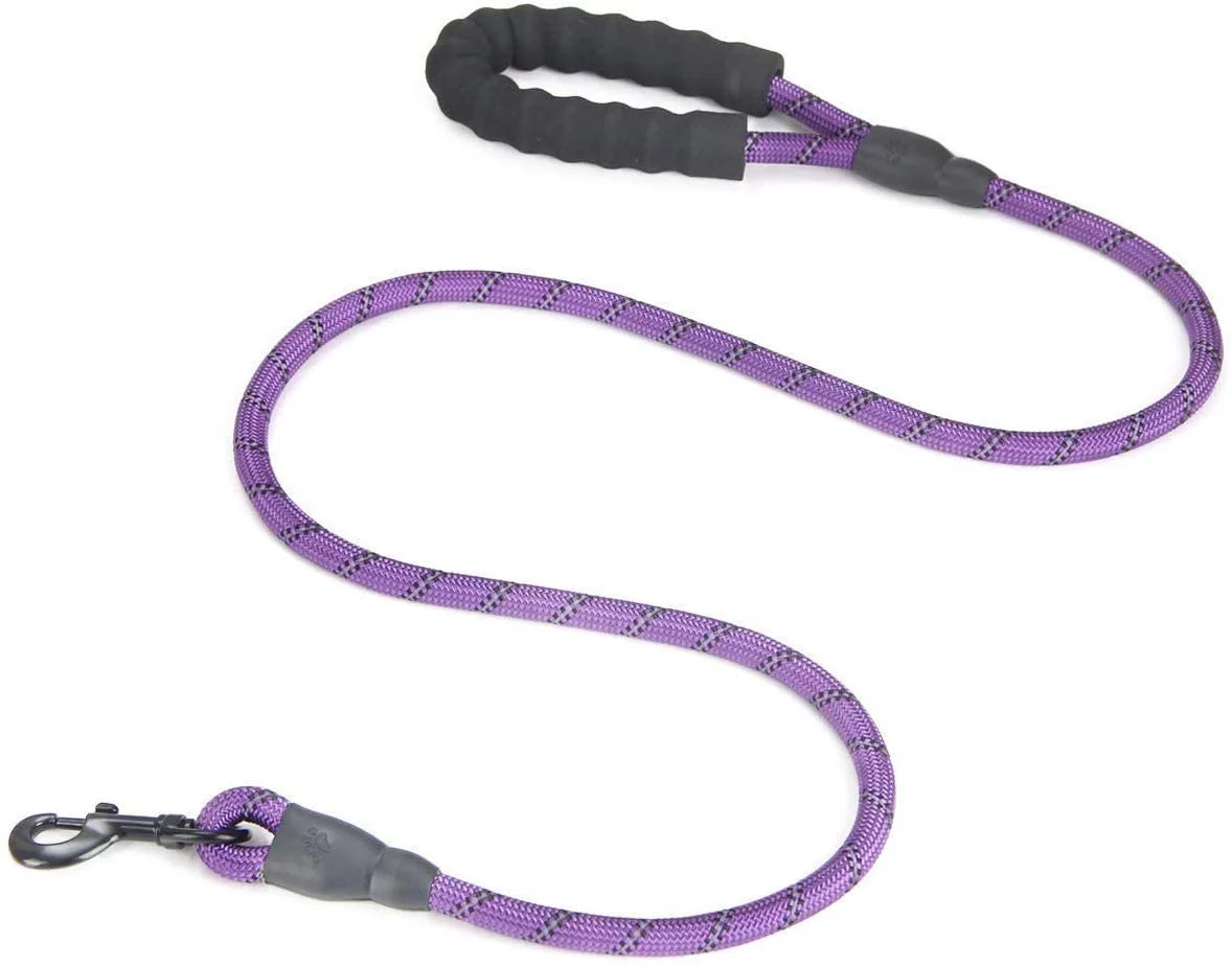 Fullgaden 5 FT Reflective Dog Leash, Heavy Duty with Comfortable Padded Handle, Purple