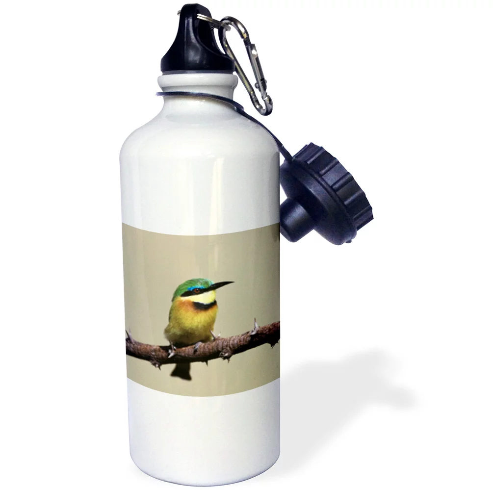 Kenya, Maasai Mara National Reserve, Little Bee-eater on twig  21 oz Sports Water Bottle wb-209212-1