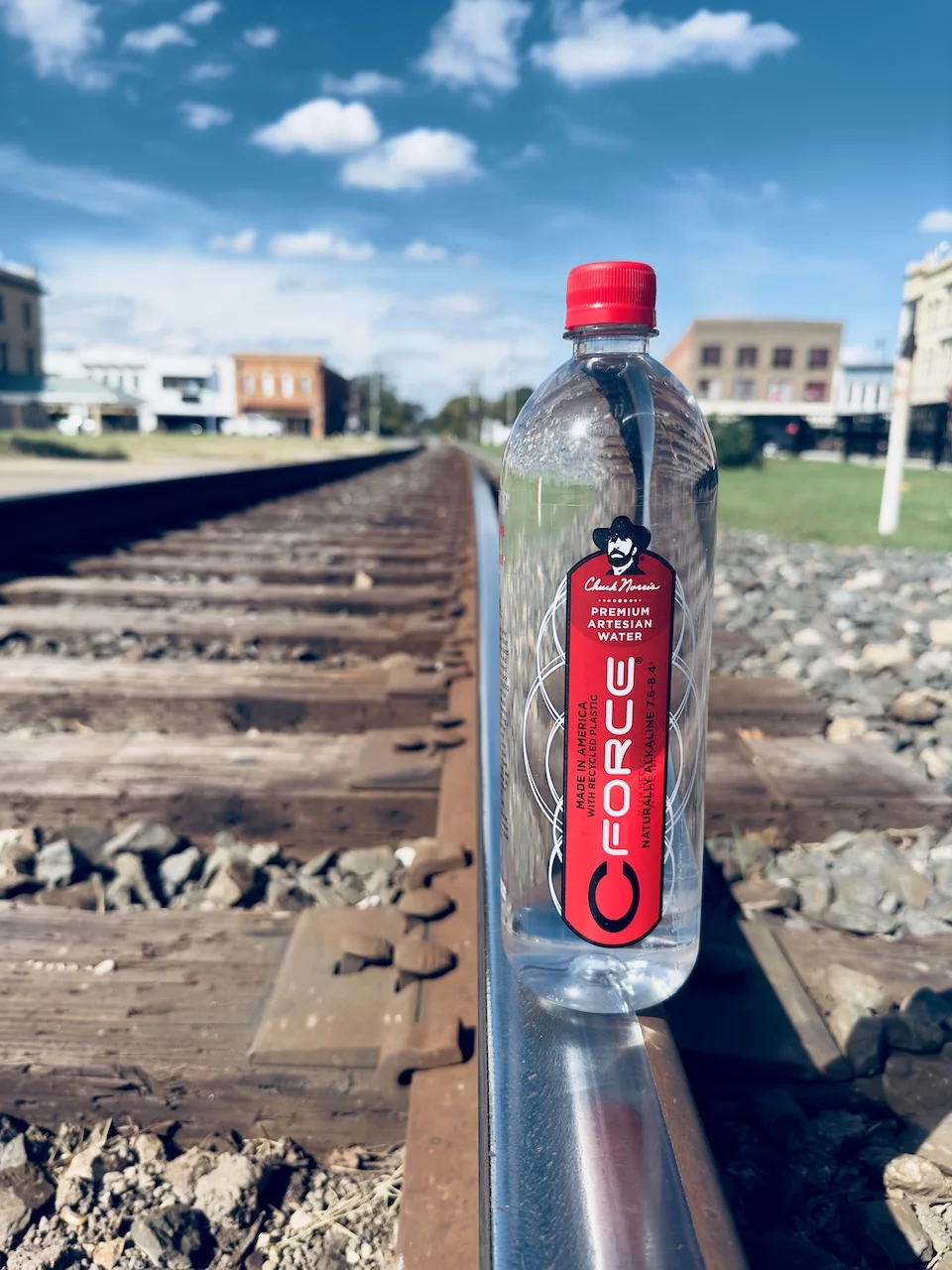 CForce Bottled Water, Naturally Alkaline Artesian Spring Water, 33.8 oz (1 Lt) Plastic Bottles (12 Pack)