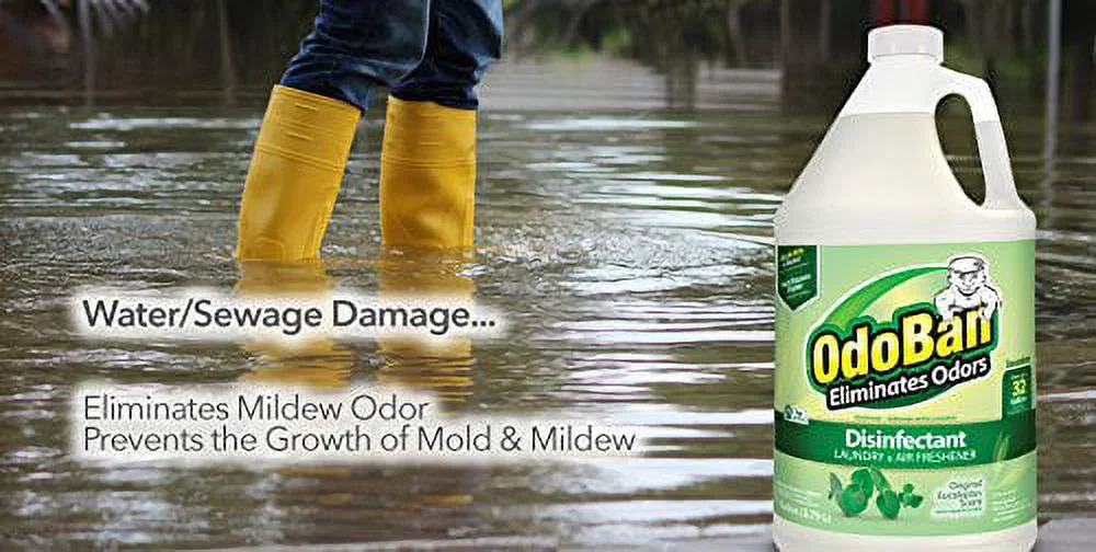 OdoBan Multipurpose Cleaner Concentrate, 2 Gal, Original Eucalyptus Scent - Odor Eliminator, Disinfectant, Flood Fire Water Damage Restoration