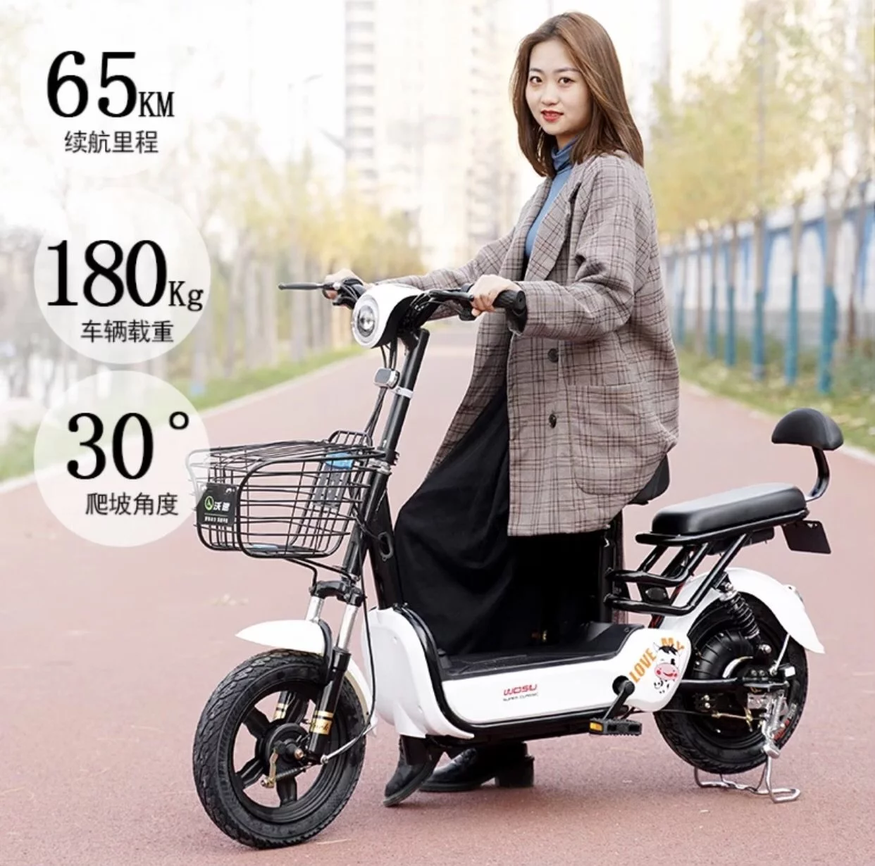 Tiger Jet 500W 48V Electric Scooter With Remote Start, 2 Seats And Detachable Battery Compartment (Updated Version)