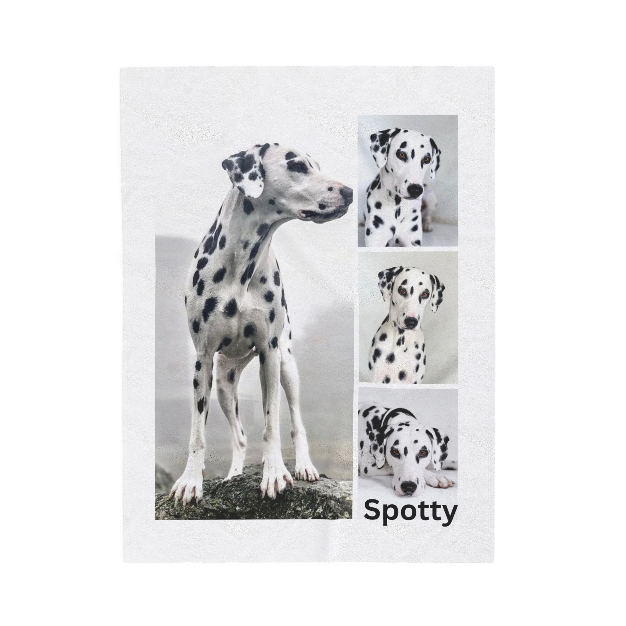 Dalmatian Custom Photo Blanket Personalized Dog Gift 30x40 50x60 60x80
