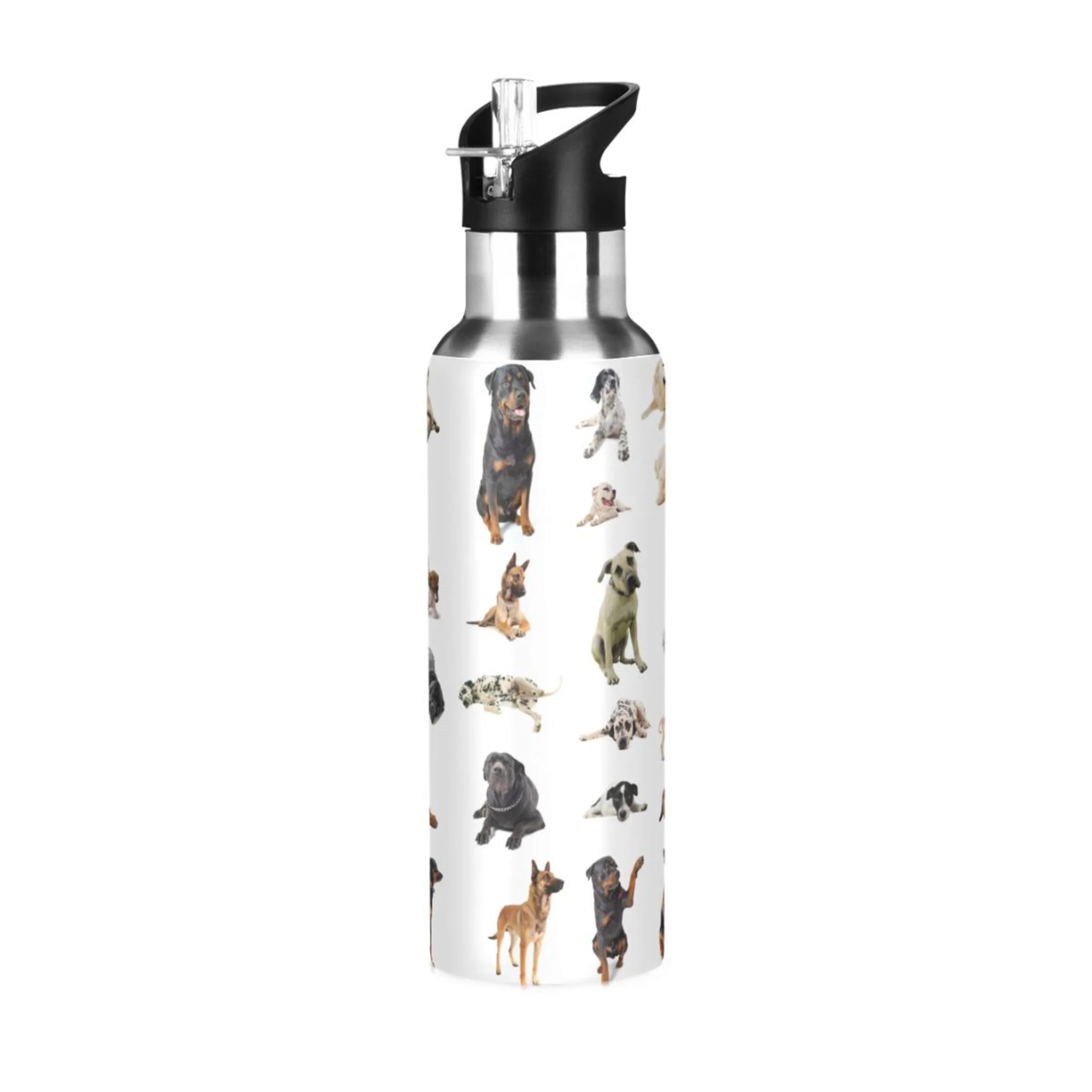 Dogs Different Water Bottles Insulated Thermos Kids Stainless Steel Bottle with Straw Lid Flask Leakproof for Sports Gym 20 oz