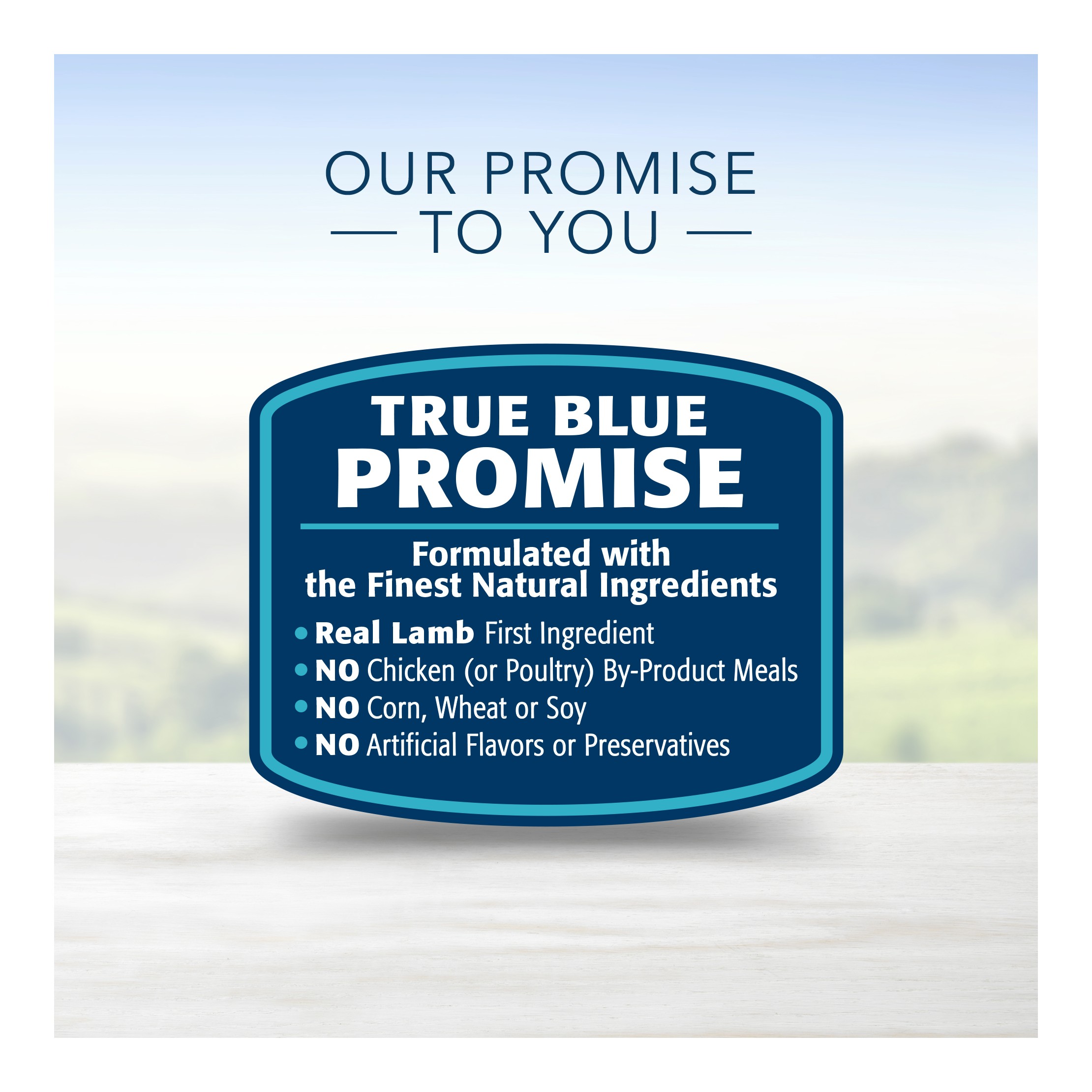 Life Protection Lamb & Oatmeal Recipe Puppy Dry Dog Food - 30lbs