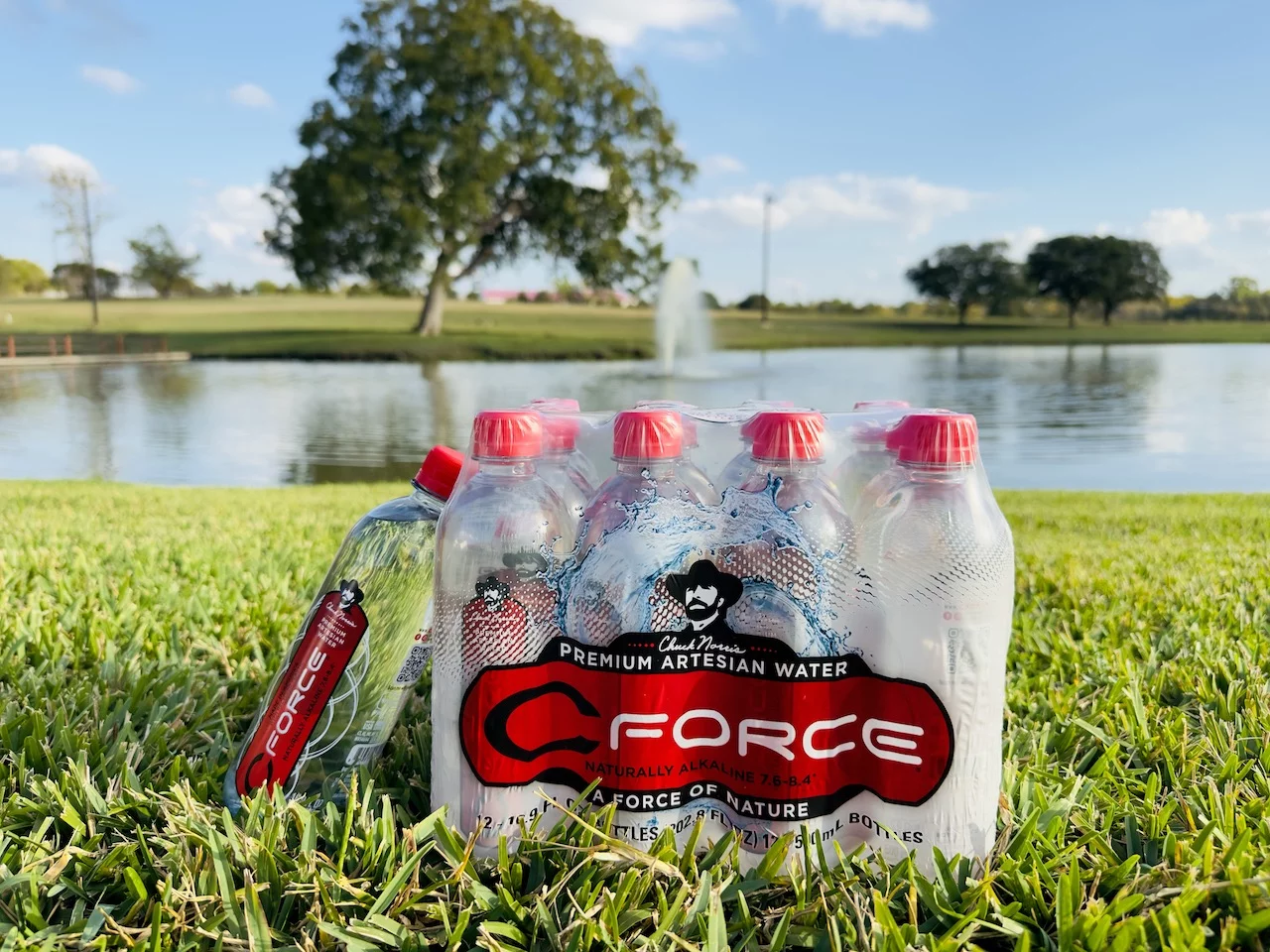 CForce Bottled Water, Naturally Alkaline Artesian Spring Water, 33.8 oz (1 Lt) Plastic Bottles (12 Pack)